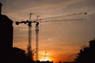 a crane is silhouetted against the setting sun