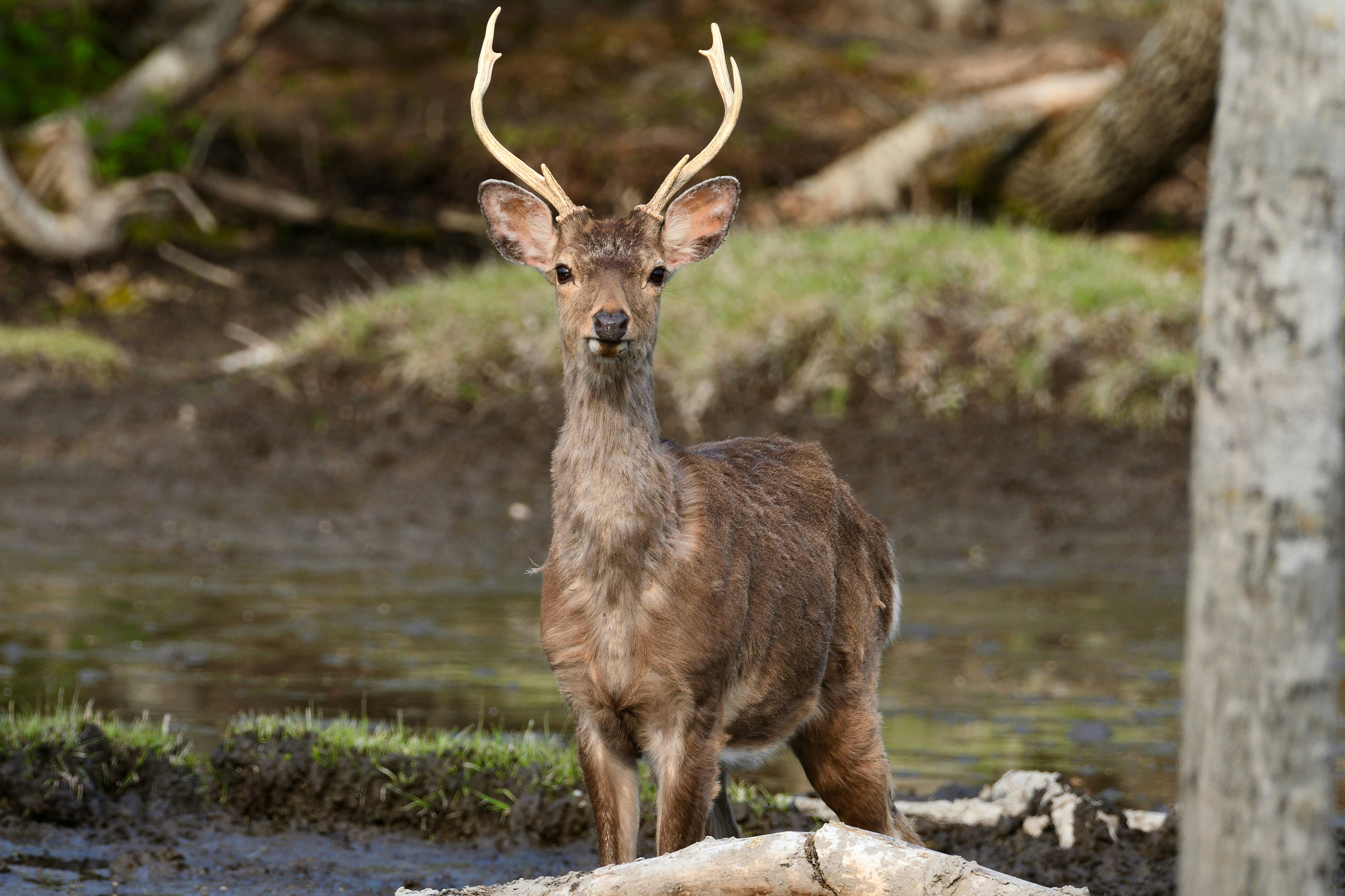 爸媽崩潰！小孩竟用OOXX學霸招？暑假作業救星來了！