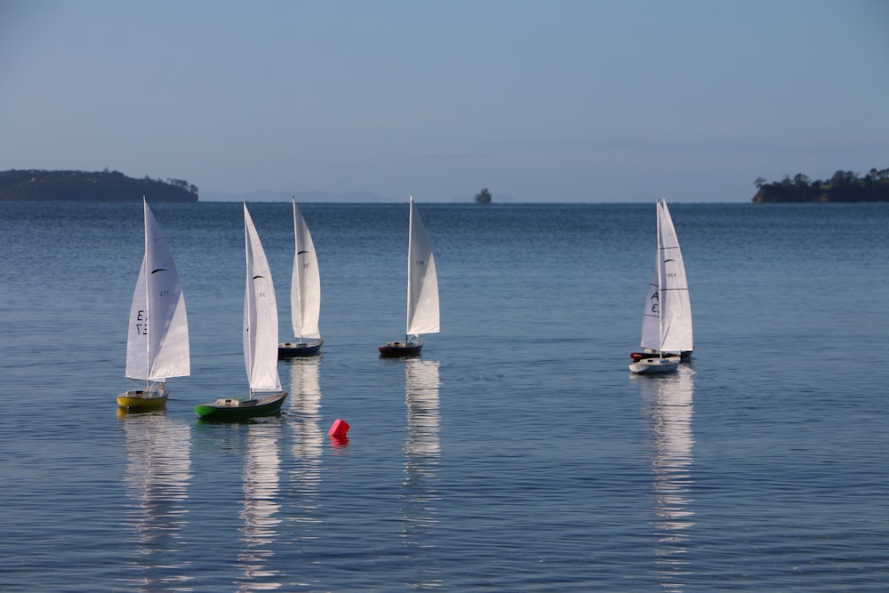 a group of sailboats floating on top of a body of water