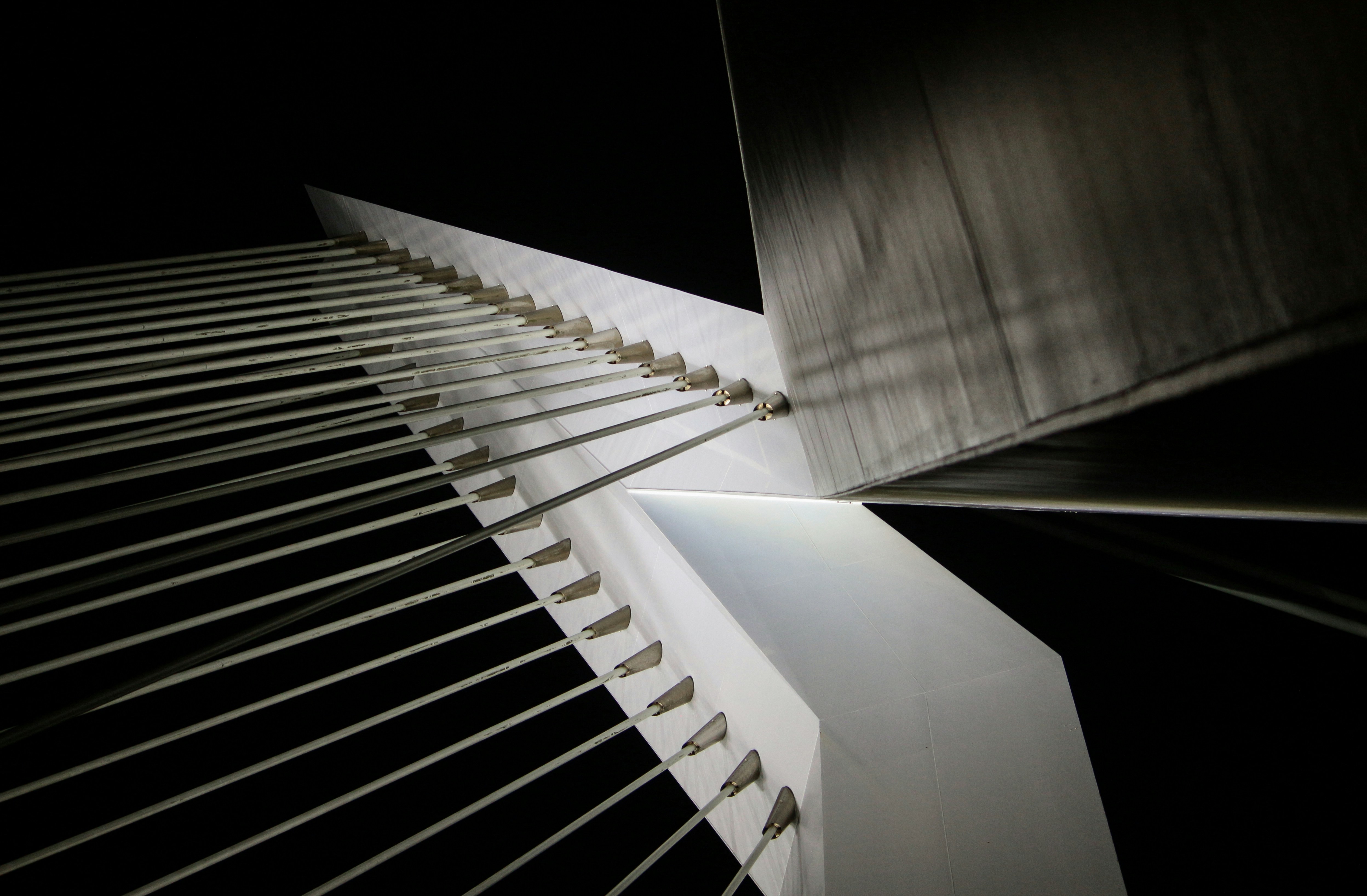 Photo by miloslopusina