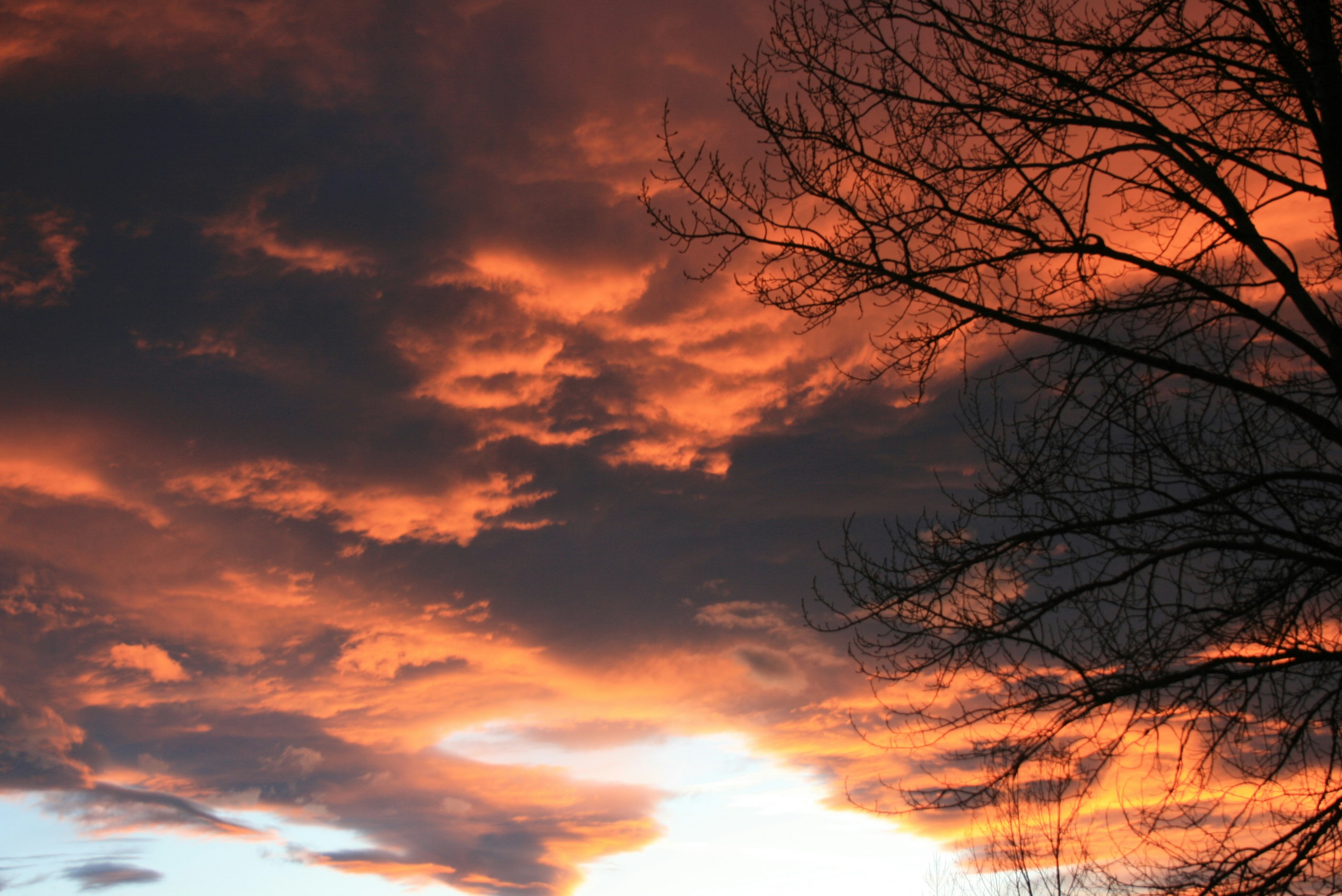 Photo by live_a_little08