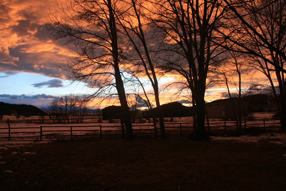 a field with trees and a fence at sunset