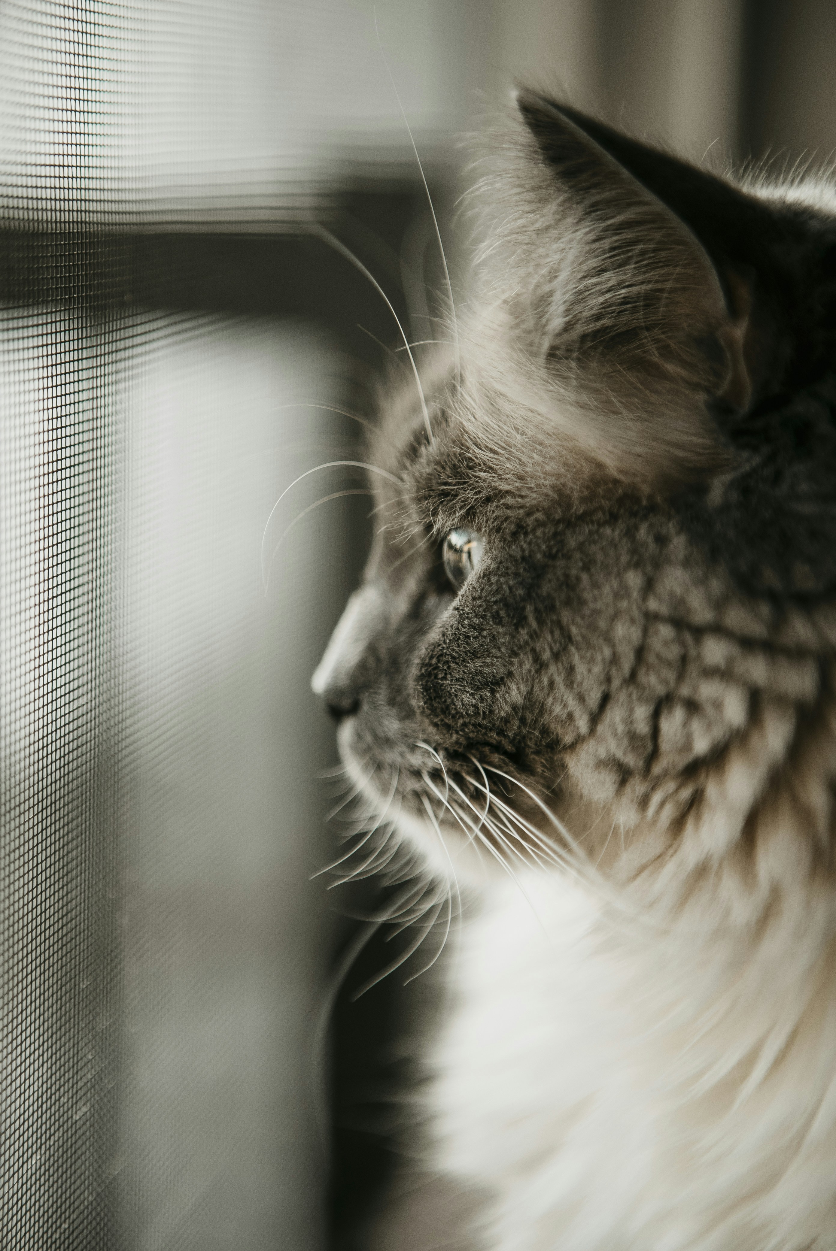 Photo by reddfrancisco