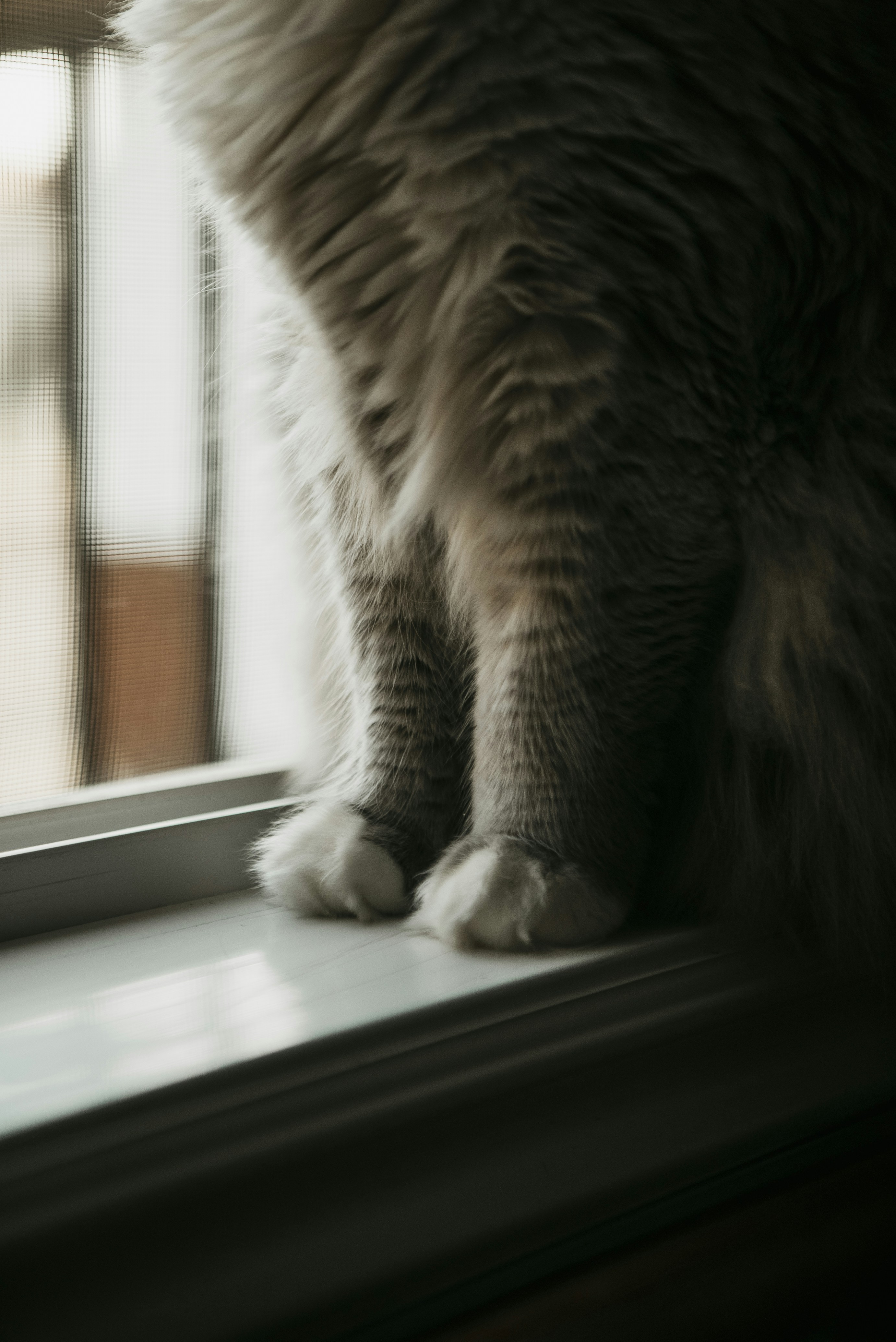 Photo by reddfrancisco