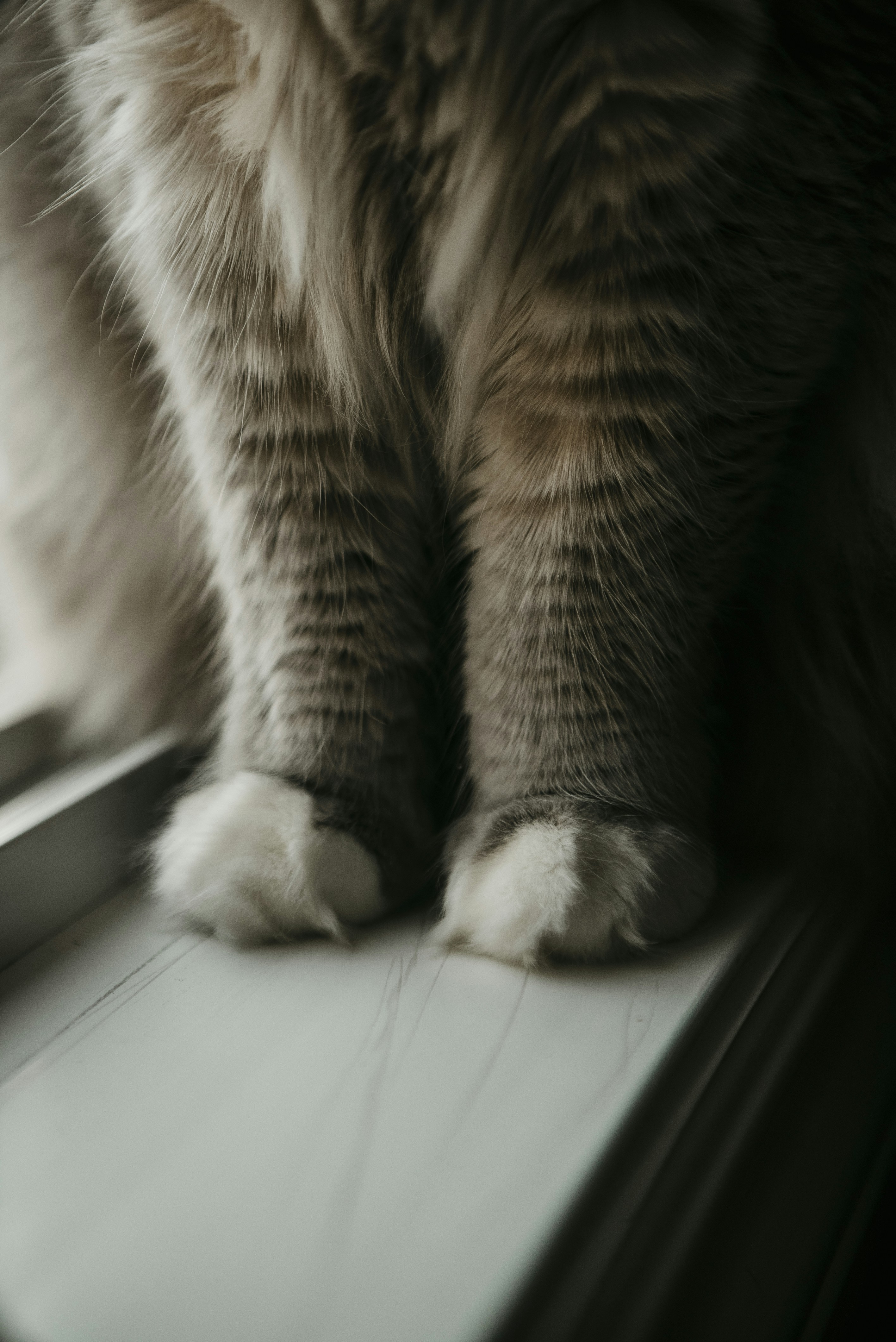 Photo by reddfrancisco