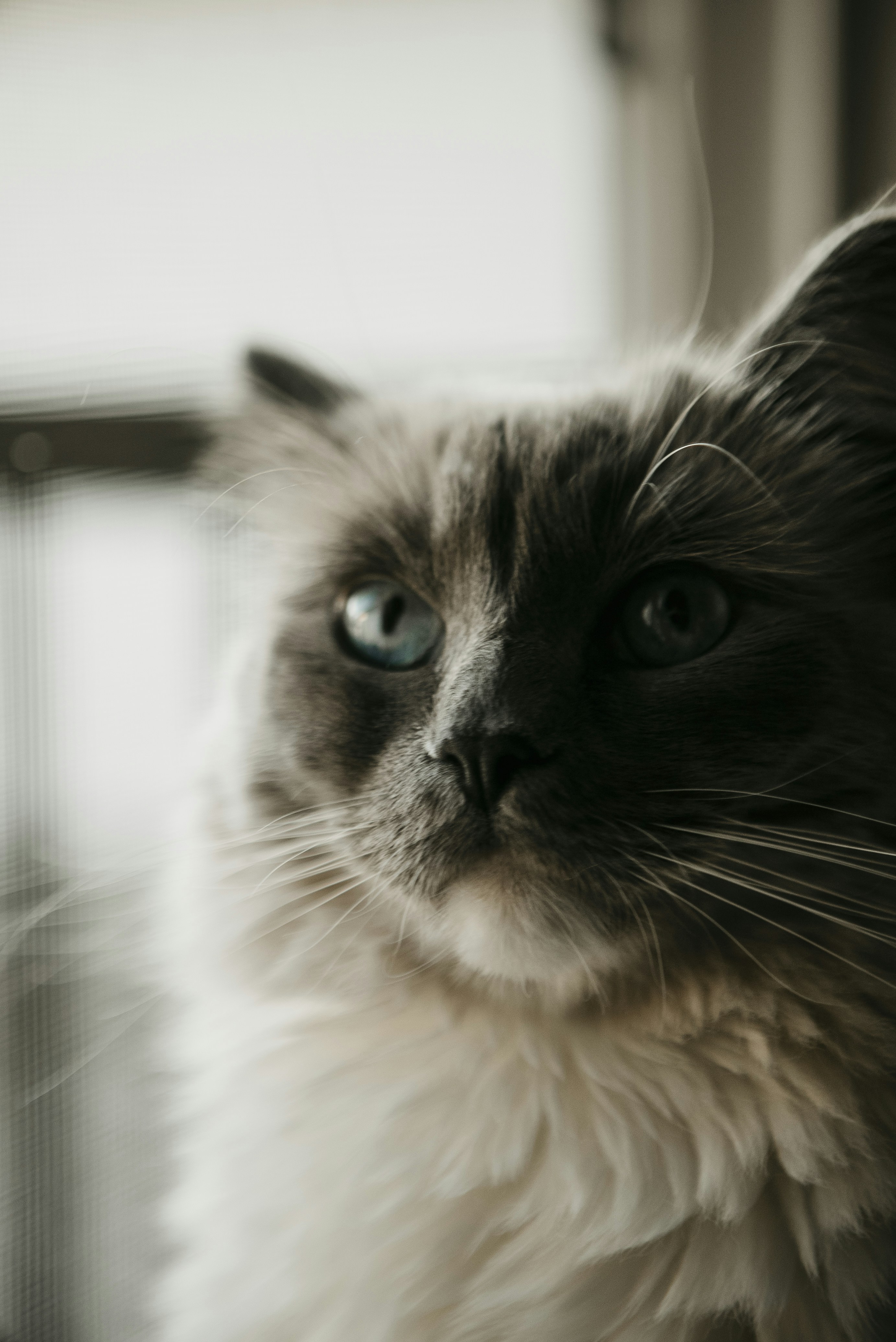 Photo by reddfrancisco