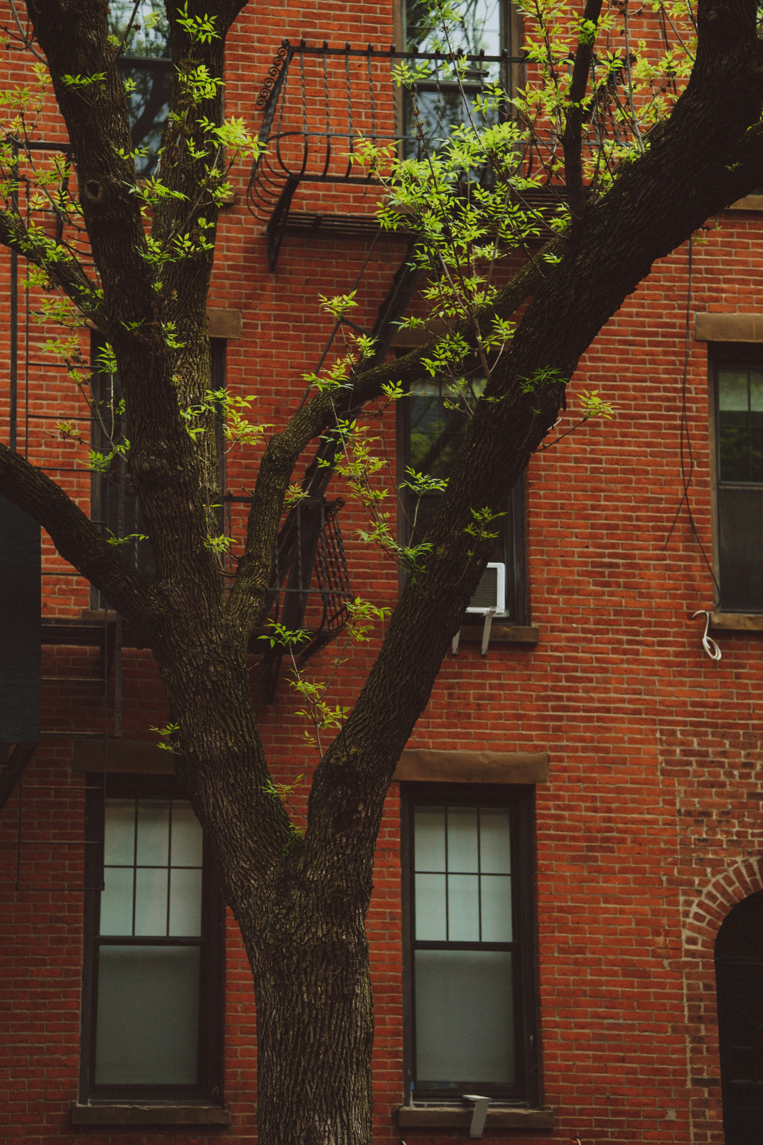 Photo by marsupialpudding