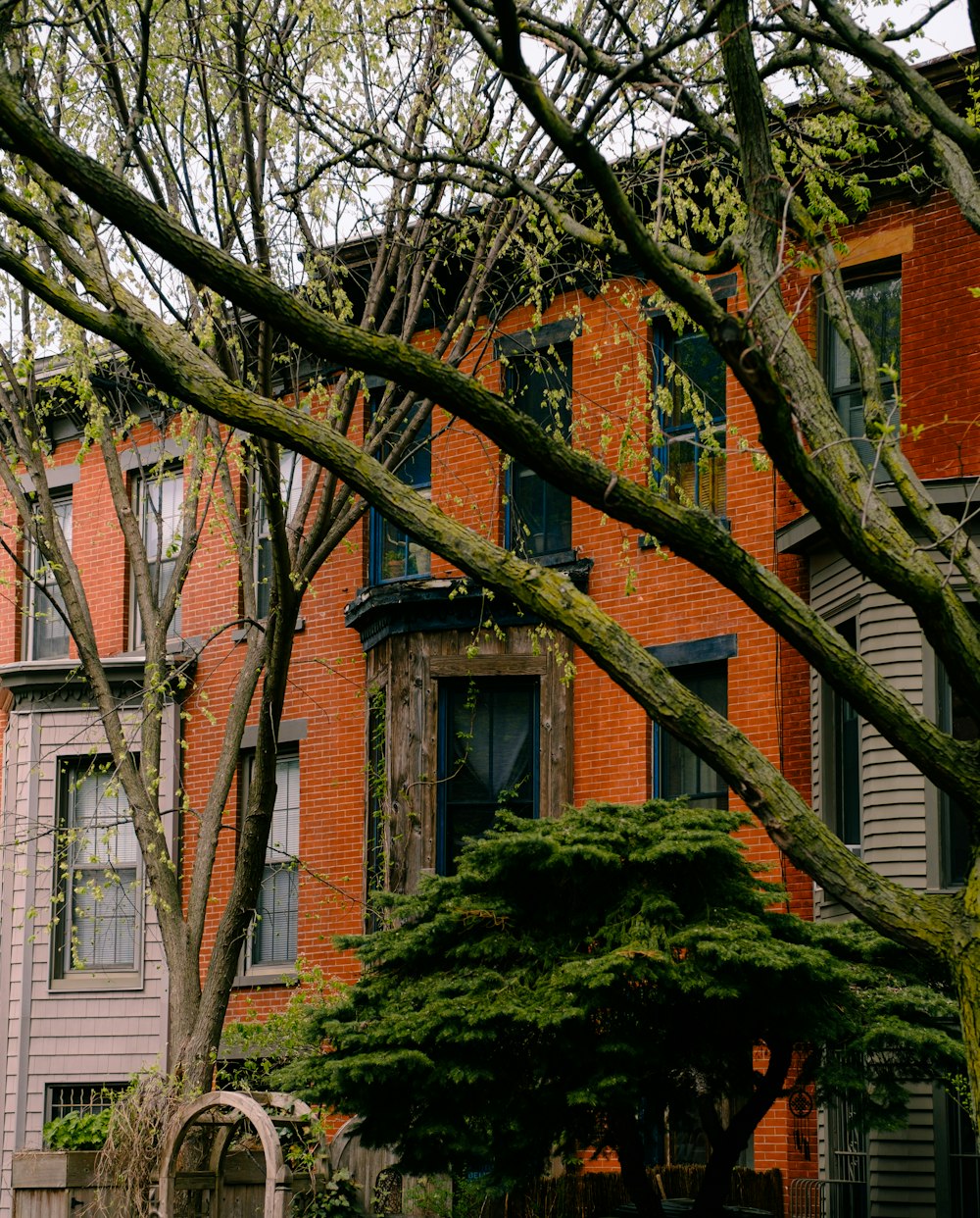 a red brick building with a tree in front of it