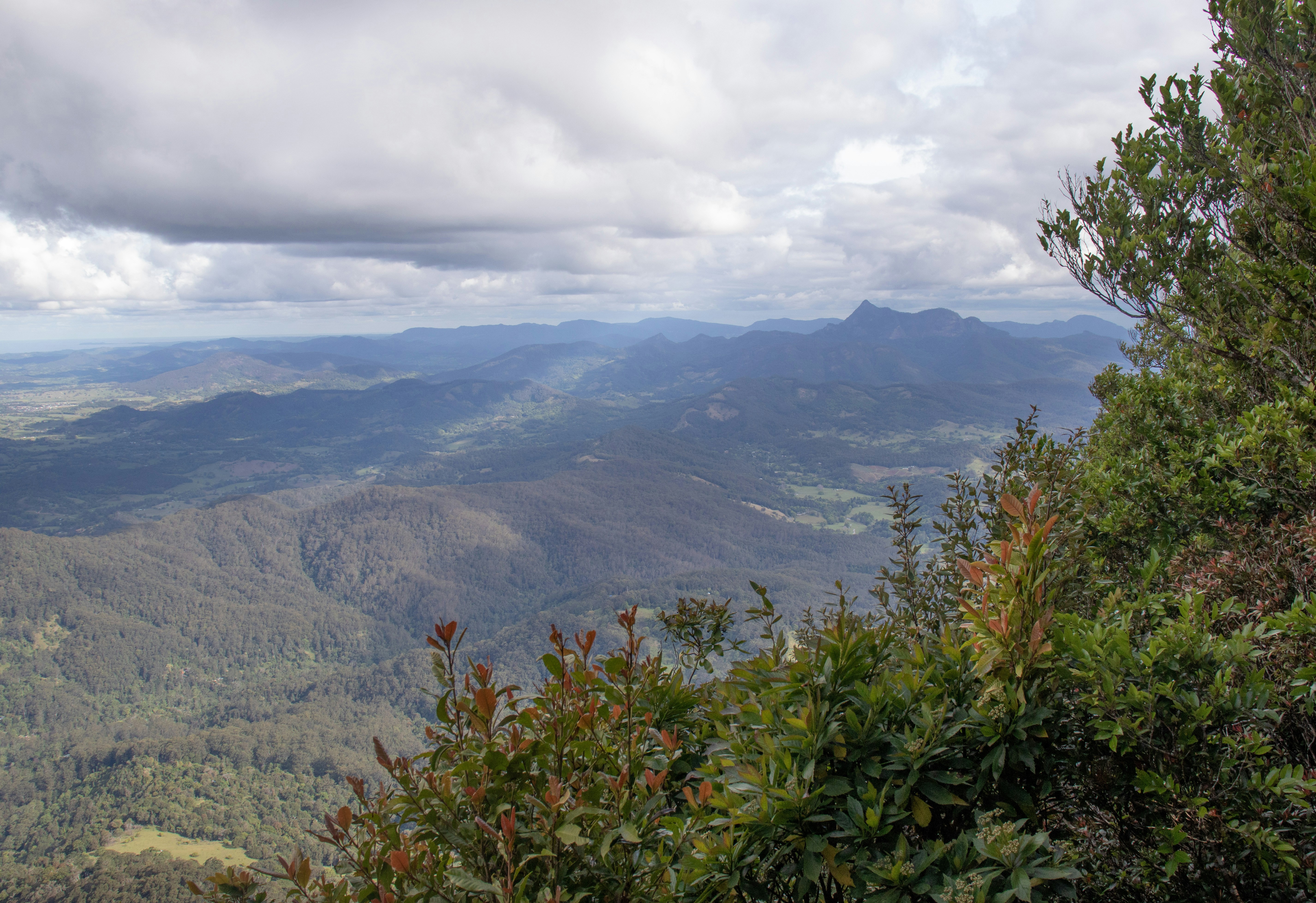 Photo by lucianaschranck