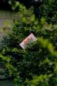 A sign partially hidden among lush green foliage has the word 'HOPE' prominently displayed along with an image of a rainbow heart. A black metal lamp post is visible behind the leaves.