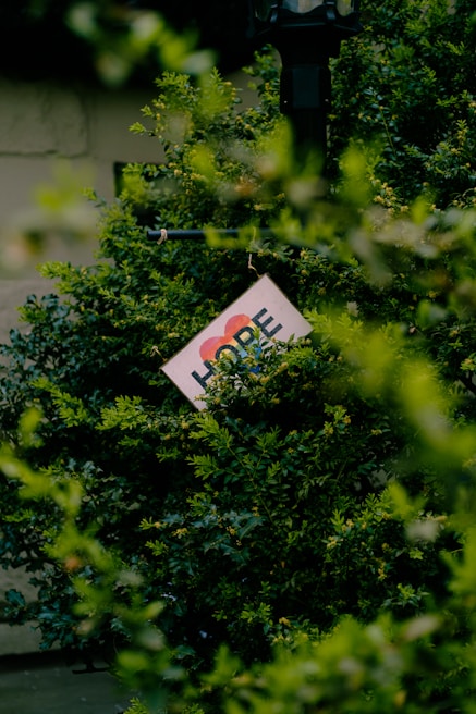 A sign partially hidden among lush green foliage has the word 'HOPE' prominently displayed along with an image of a rainbow heart. A black metal lamp post is visible behind the leaves.