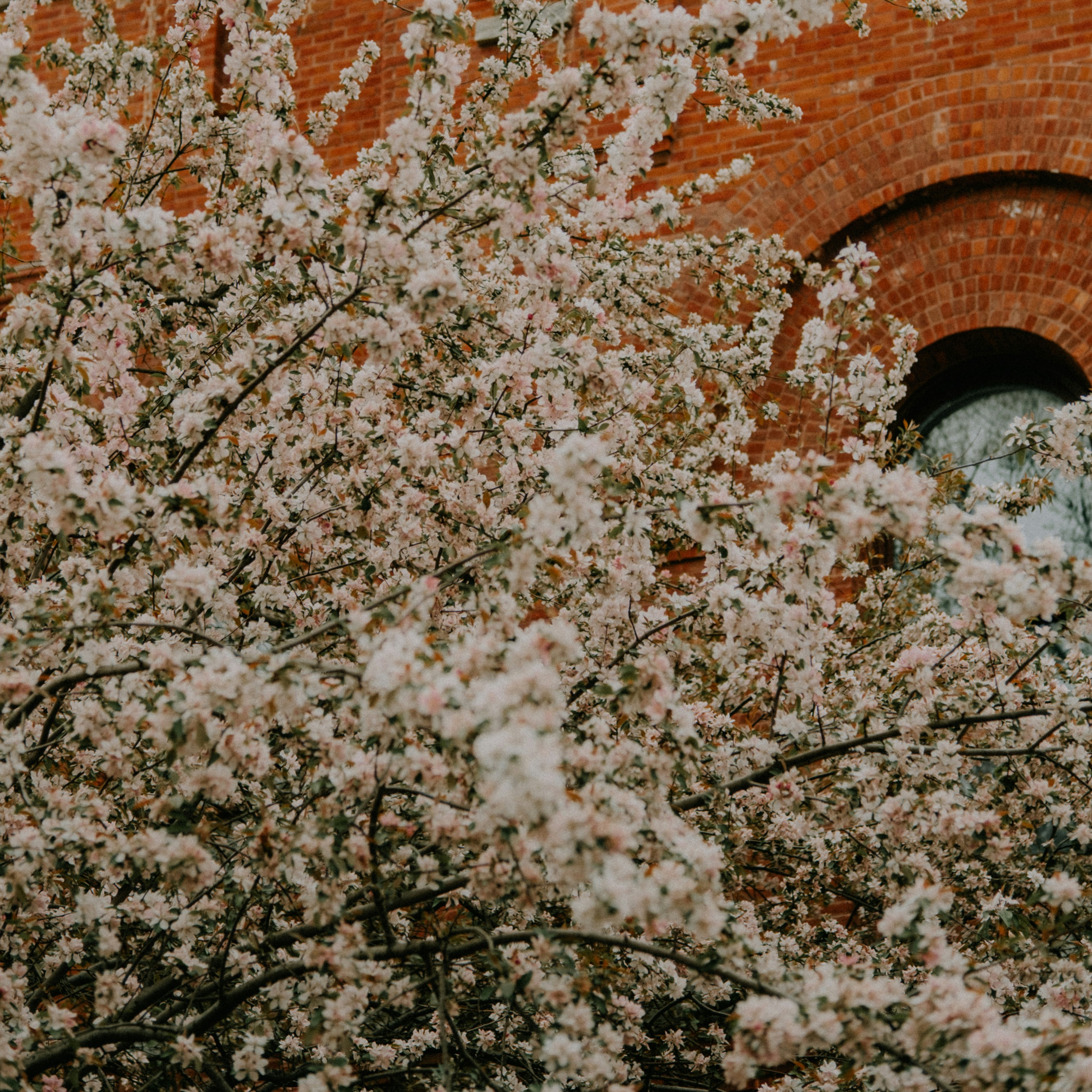 Photo by marsupialpudding