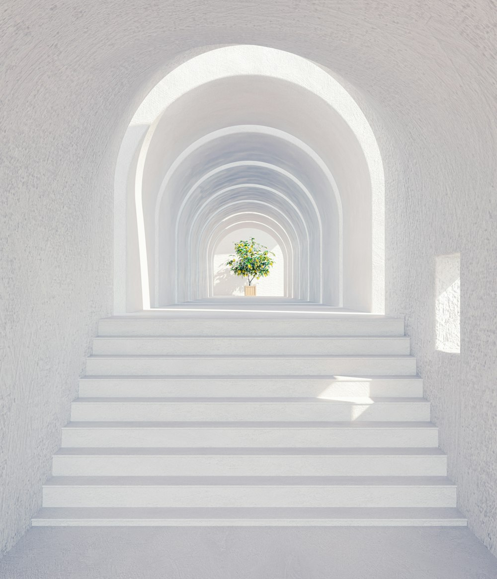 a set of white stairs leading up to a green plant