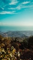 a view of a city and the ocean from a hill