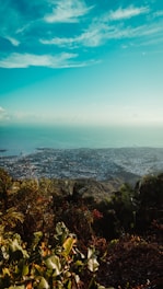 a view of a city and the ocean from a hill