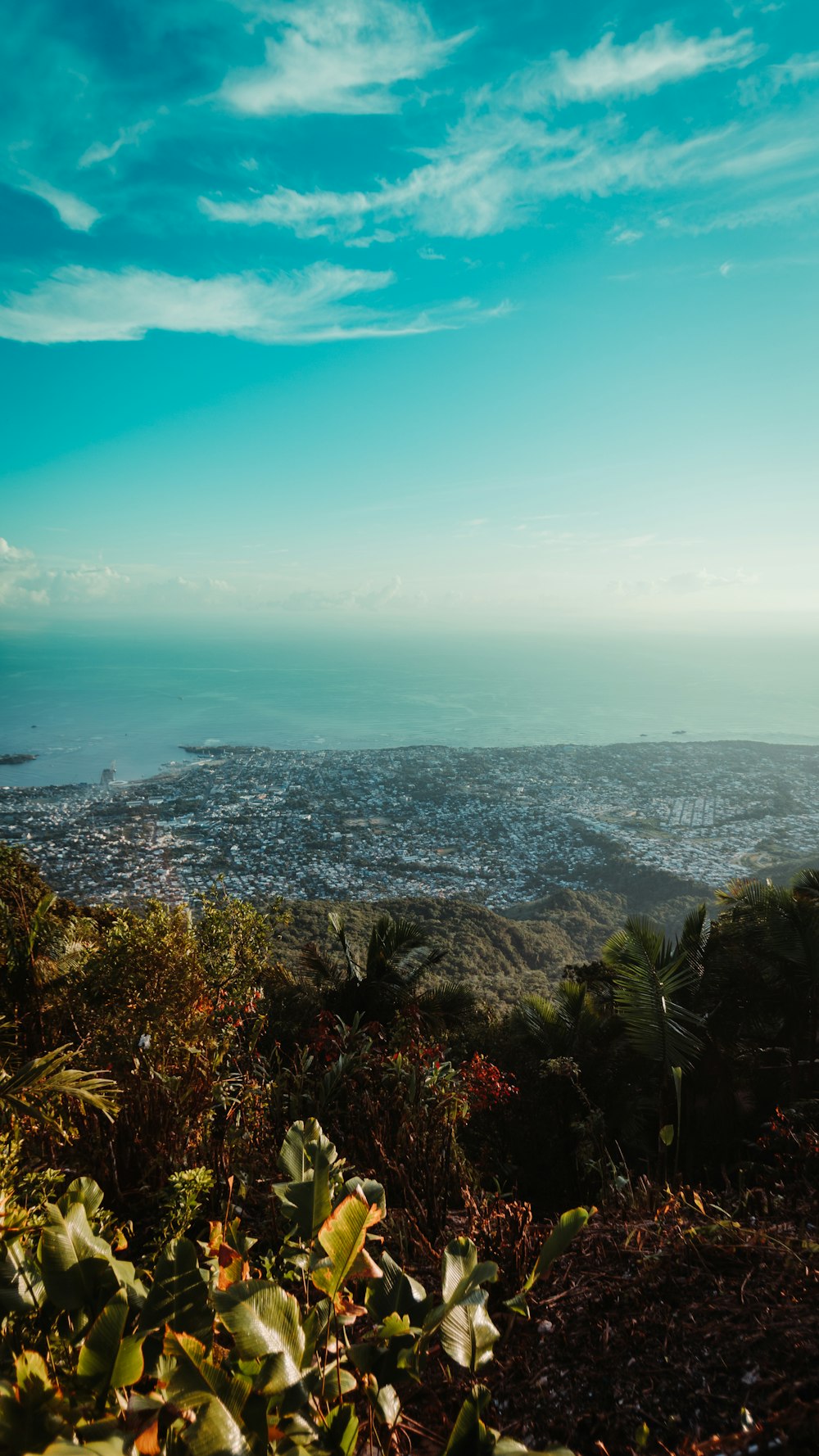 Una vista di una città e dell'oceano da una collina