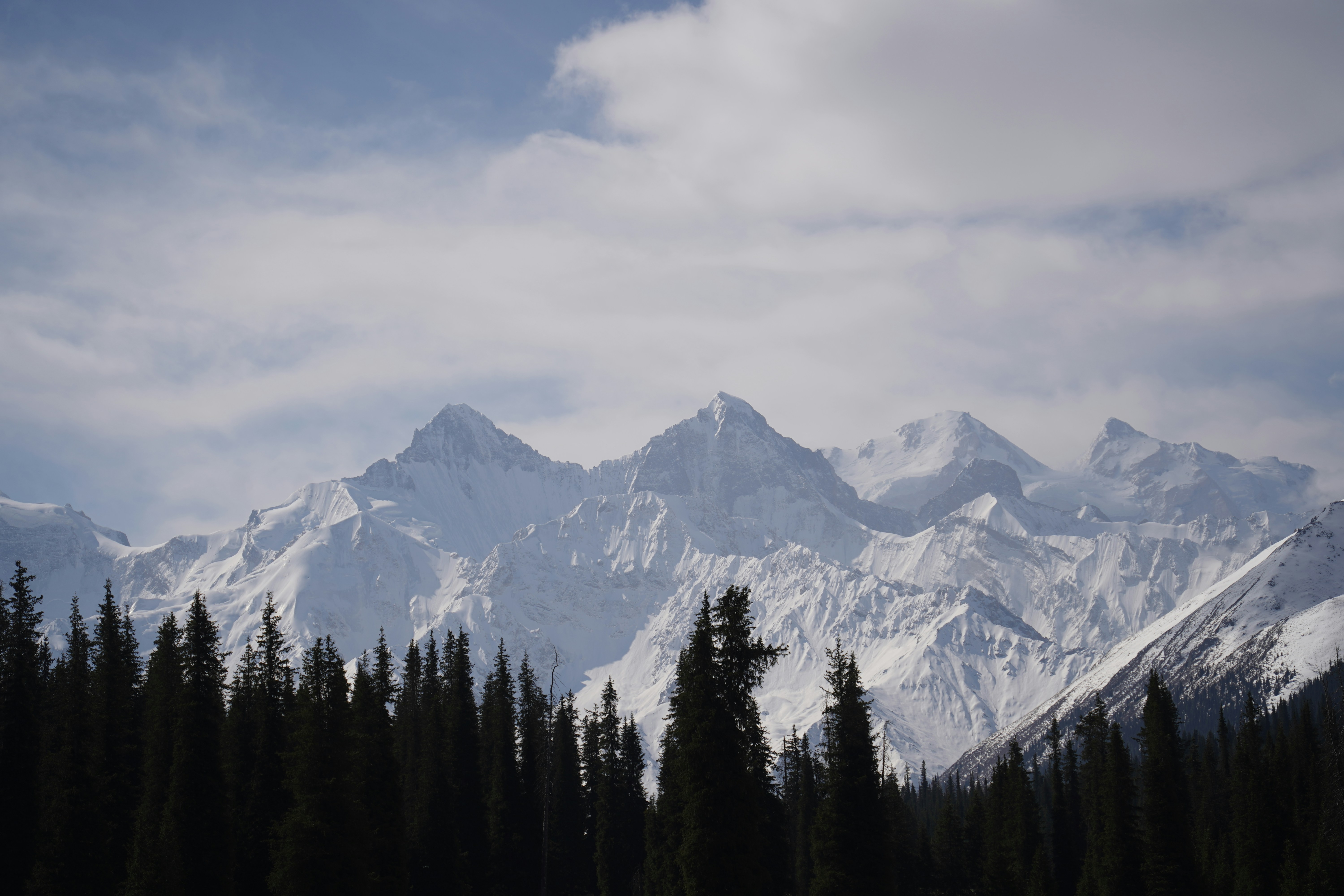 Photo by danielhahaha