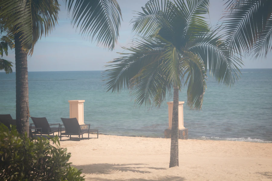 BBQ lunch on a private island, Mauritius