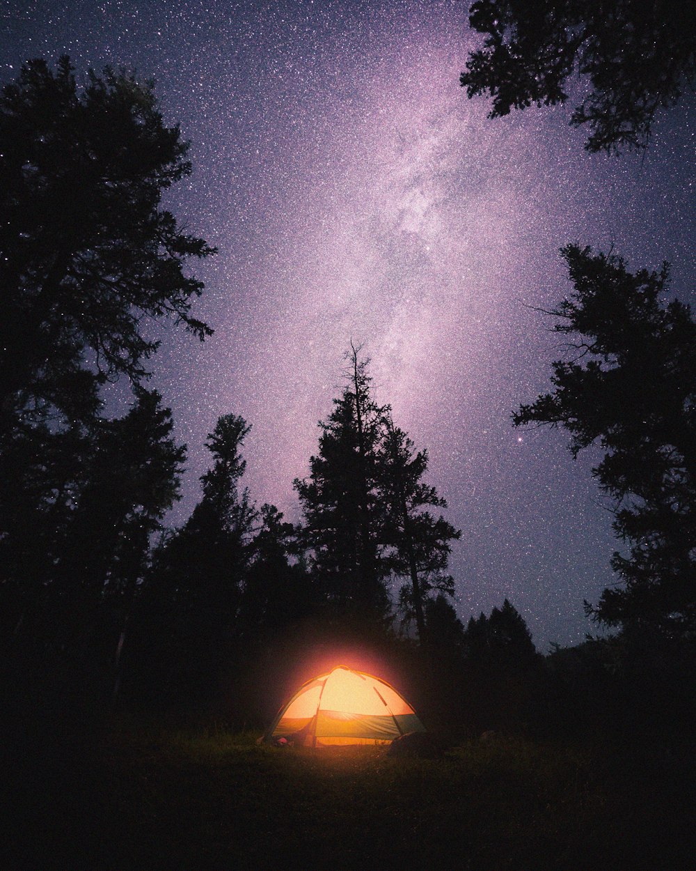a tent in the woods under a night sky filled with stars