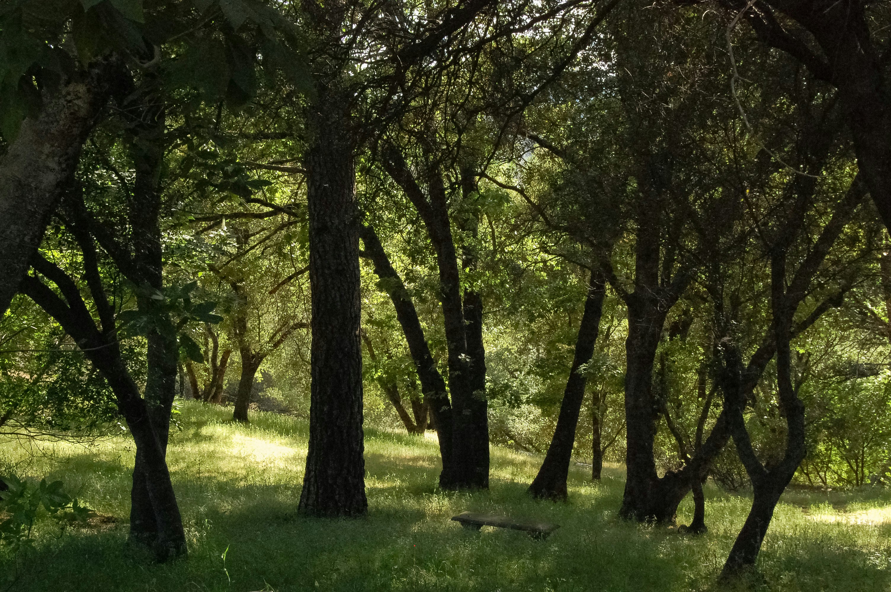 Photo by evanbaptista