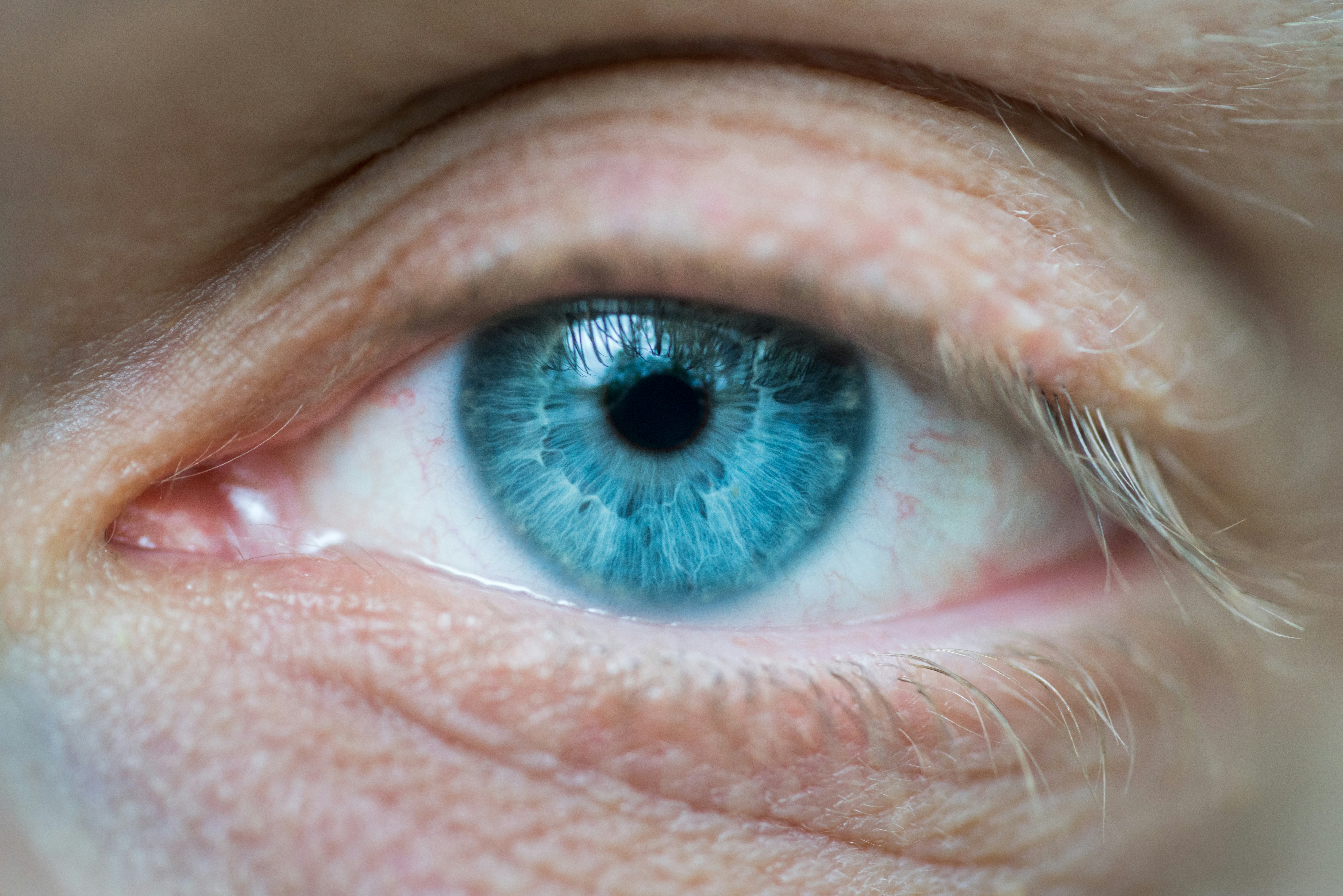 Photo by brotakesphotos