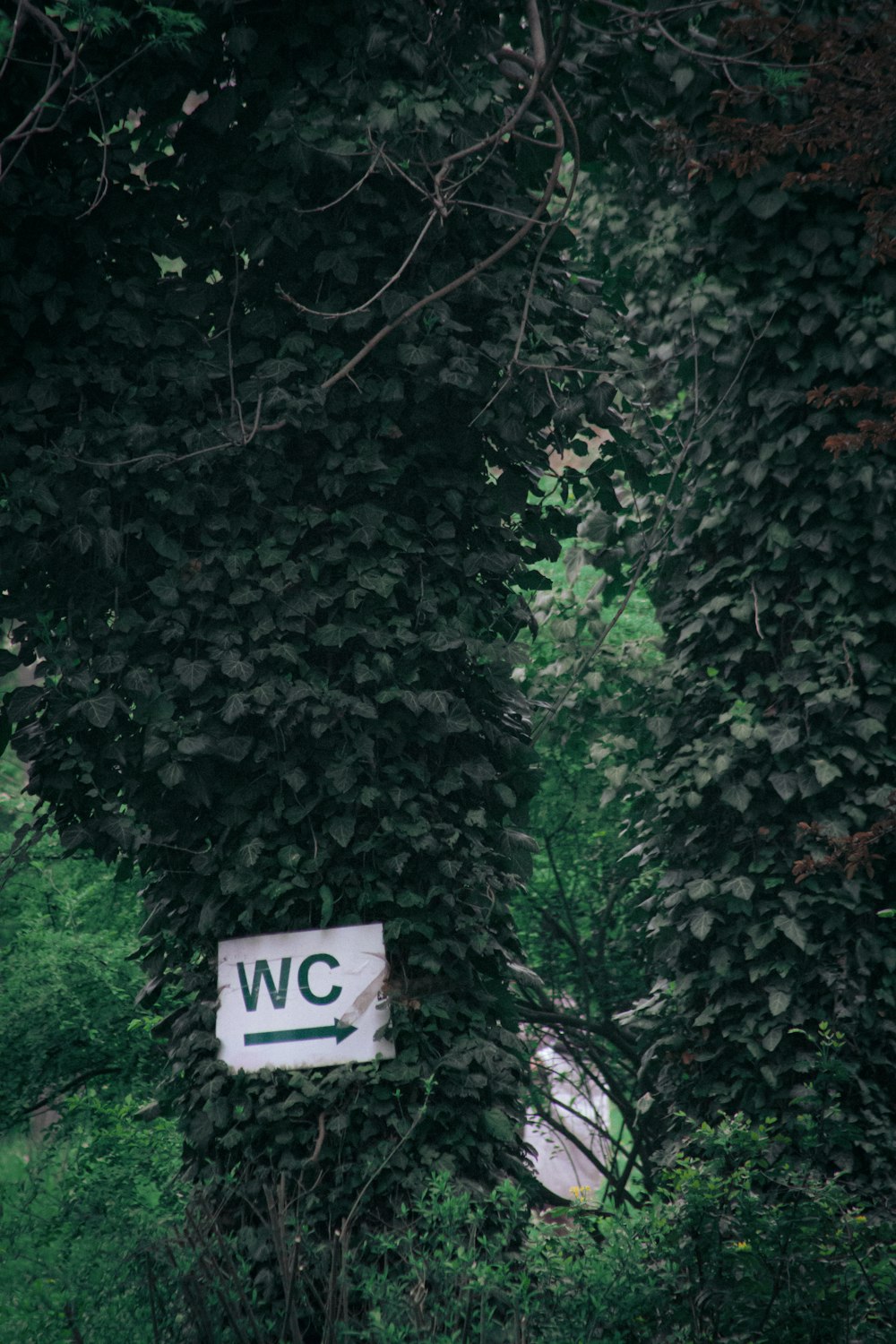 a white sign that is on the side of a tree