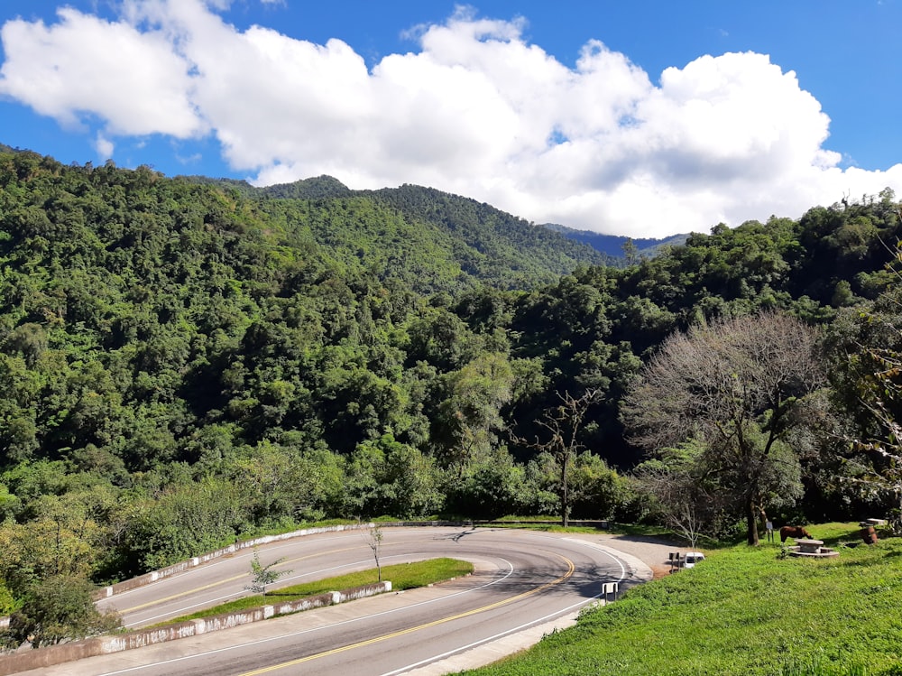 a winding road in the middle of a lush green forest