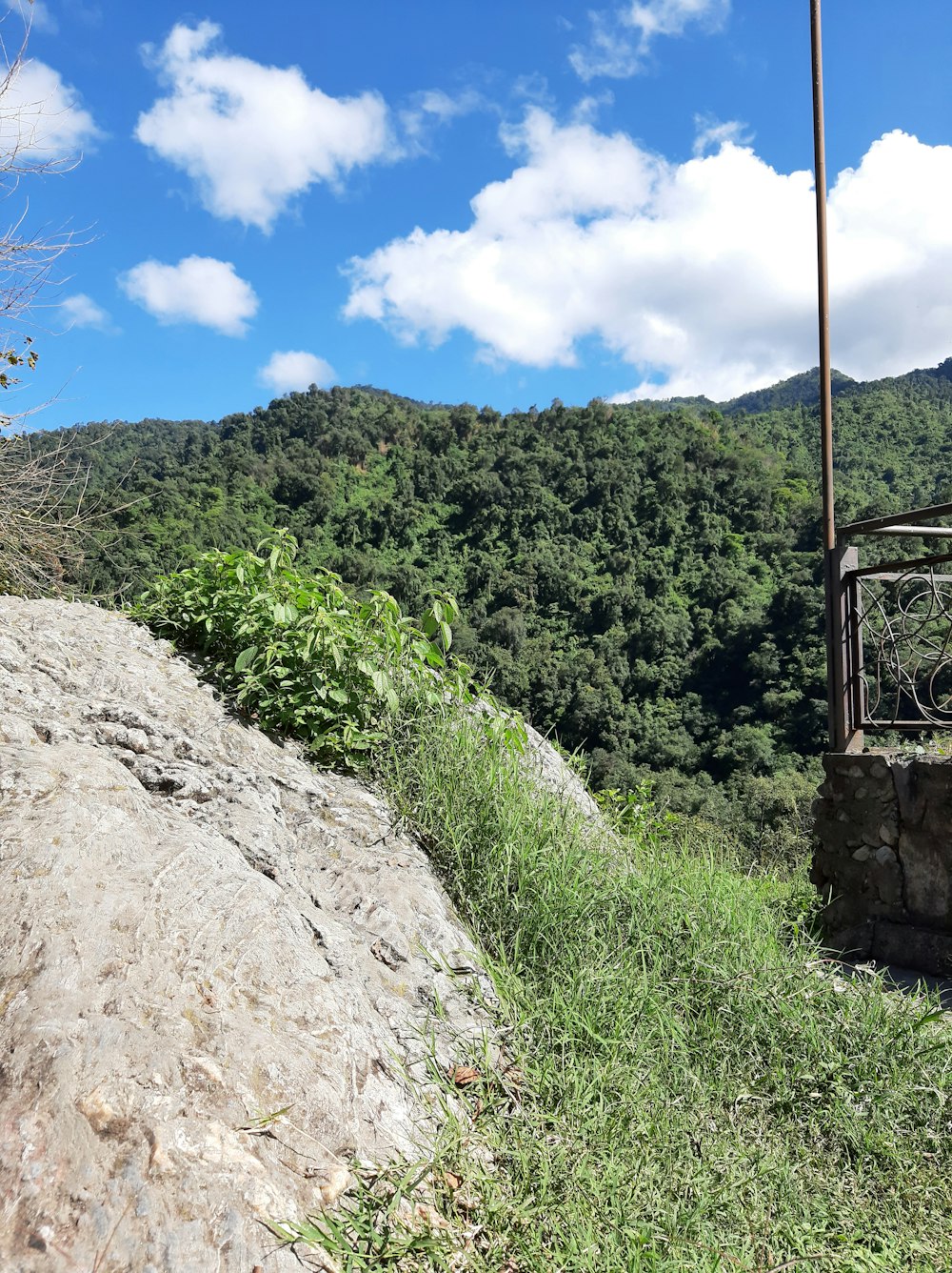 a view of a lush green hillside with a mountain in the background