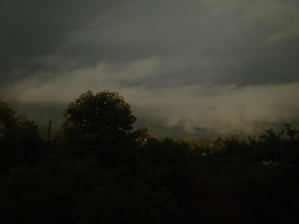 a dark sky with clouds and trees in the foreground