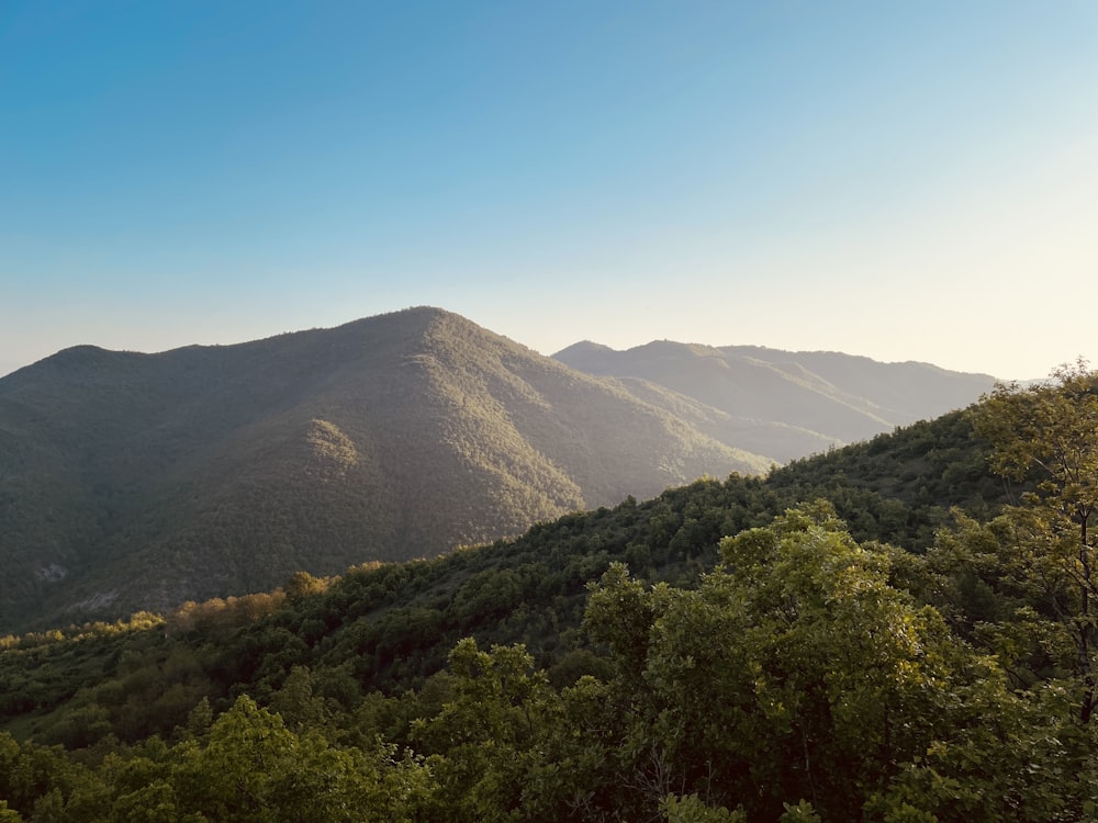 a view of a mountain range with trees in the foreground