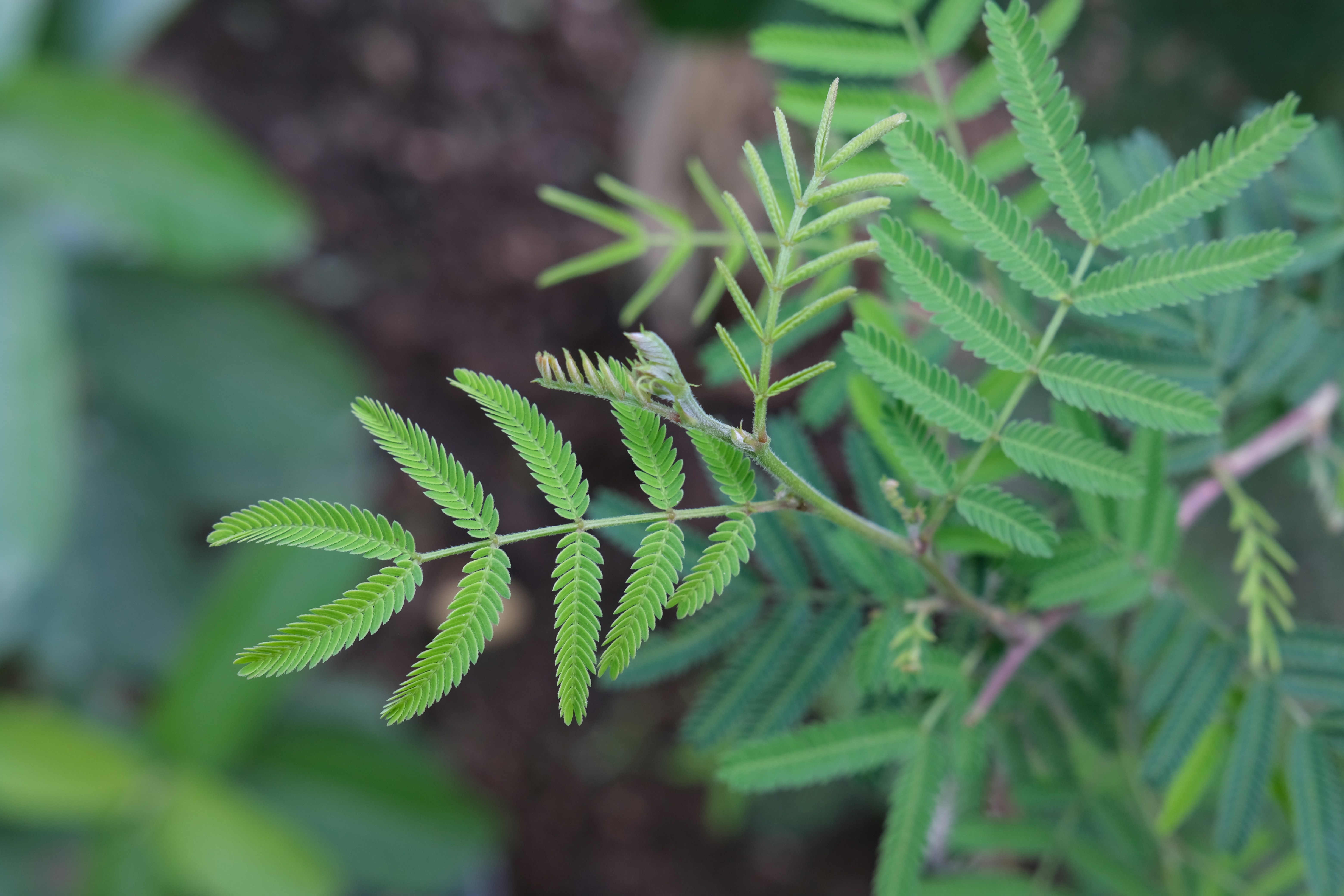 Photo by rahuulmiishra