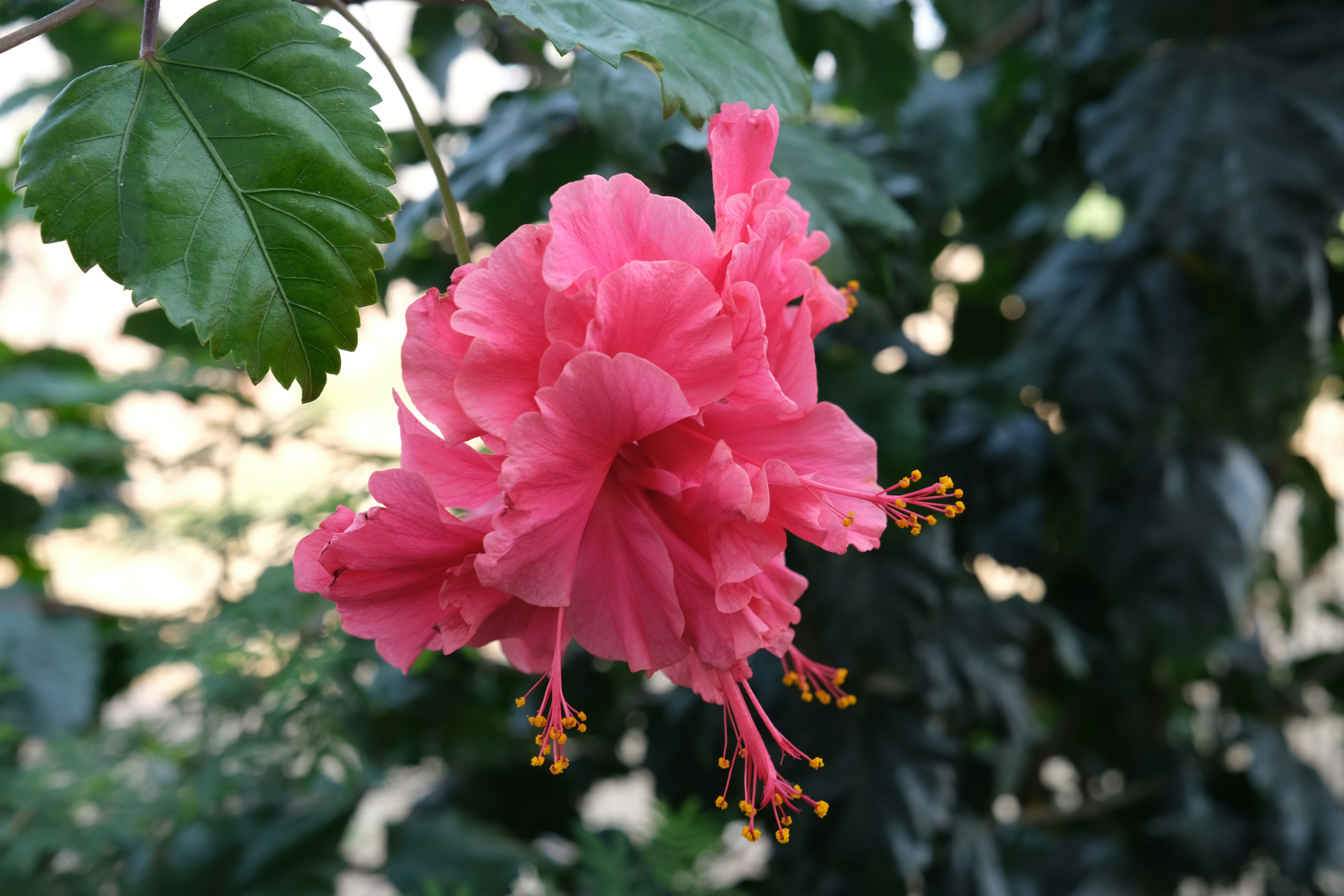 Photo by rahuulmiishra