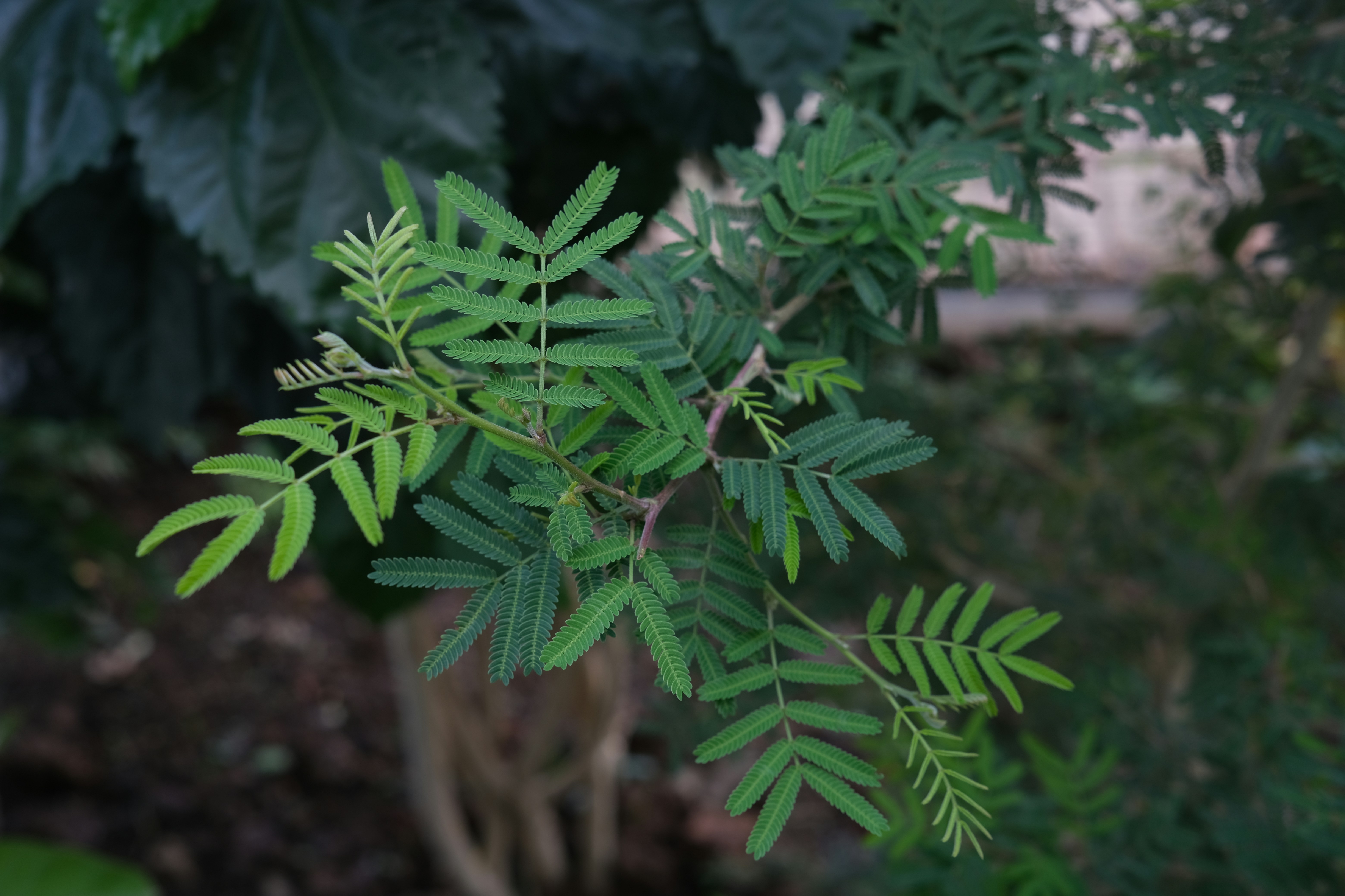 Photo by rahuulmiishra