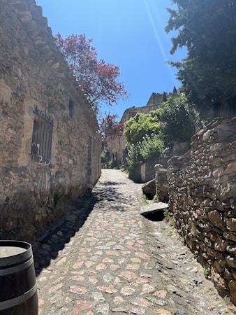 A narrow cobblestone street winding through an old village with stone buildings on either side. Sunlight highlights the textures of the stones and casts shadows, creating a rustic, serene atmosphere. Trees with lush green and red leaves add a touch of color and vibrancy.