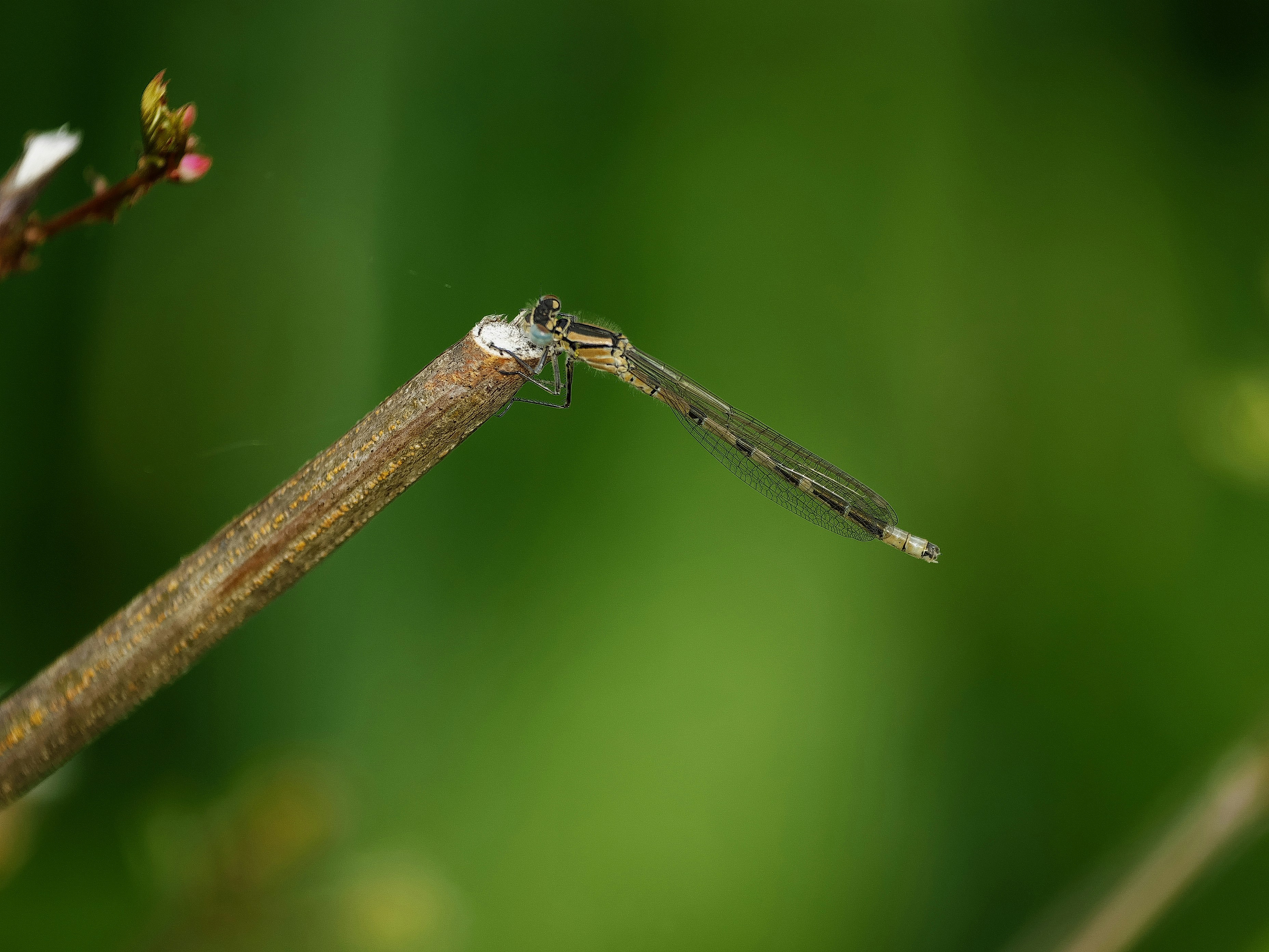 Photo by balmy_sunset