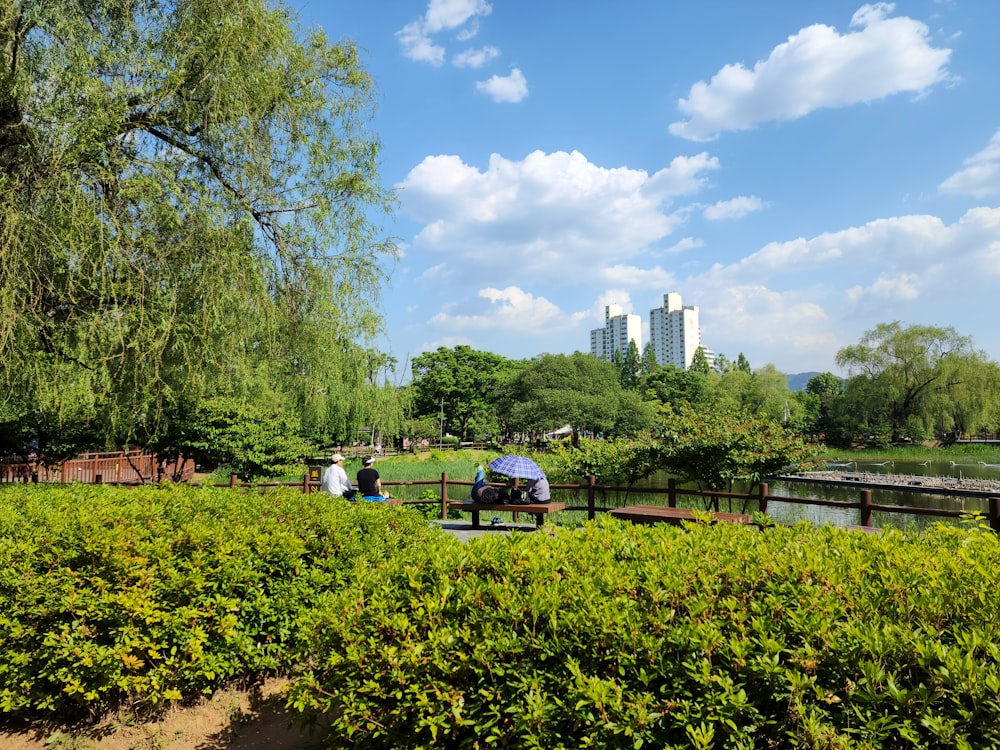 a couple of people sitting on a bench in a park