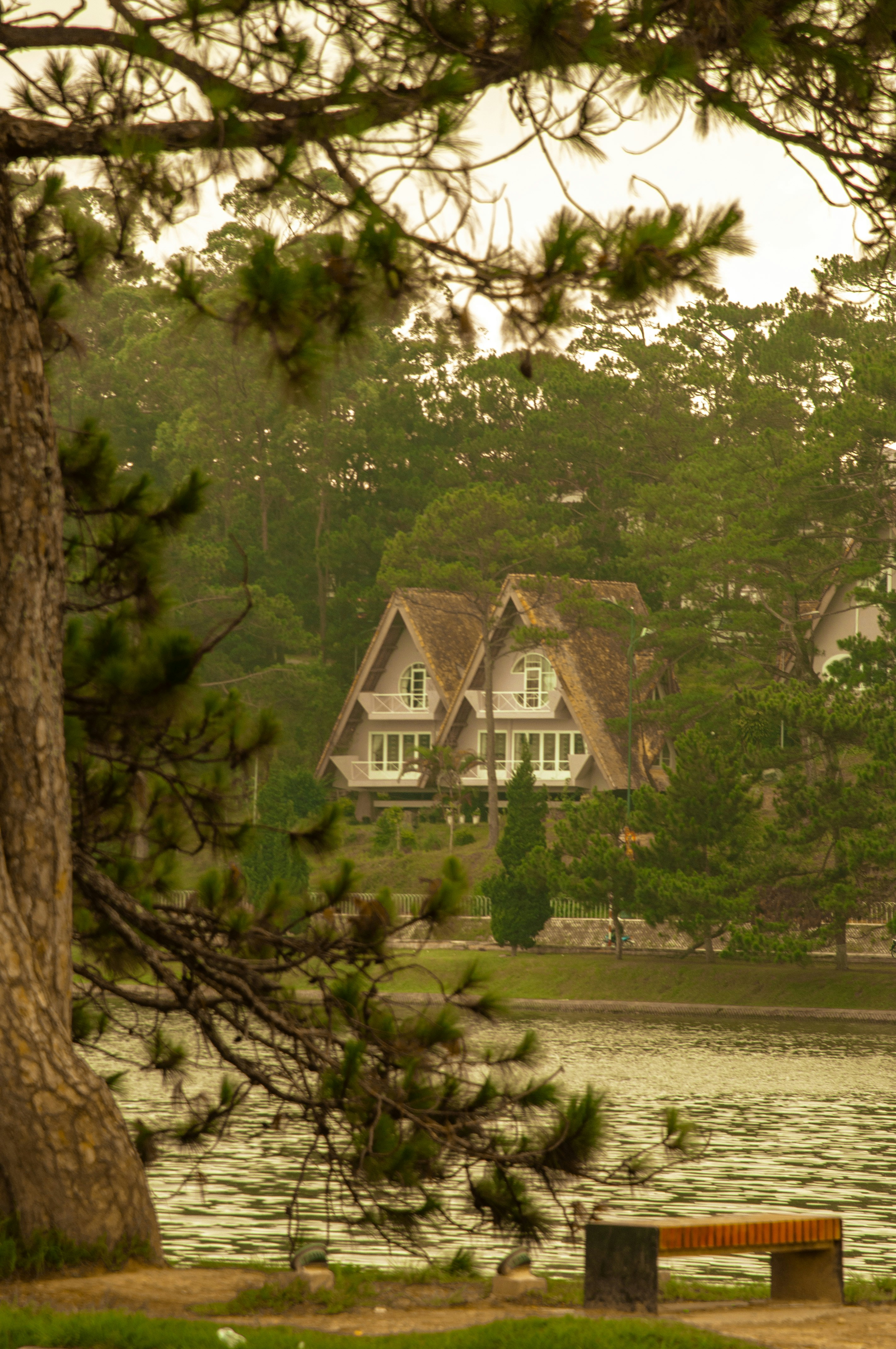 Photo by photographer_thinj