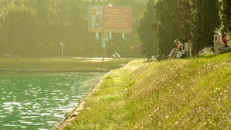 A serene outdoor scene depicting a personal finance coaching session.