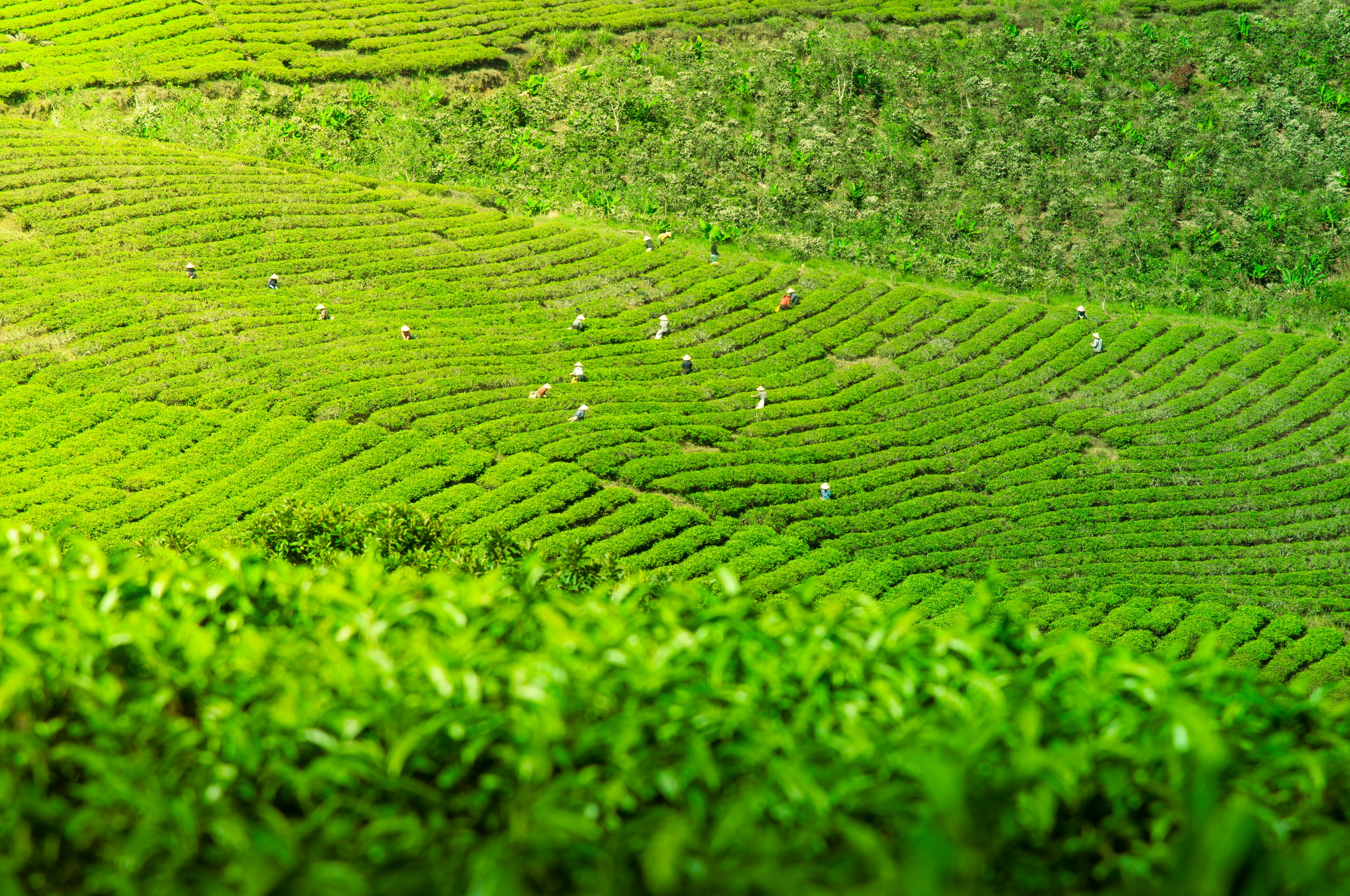 Photo by photographer_thinj