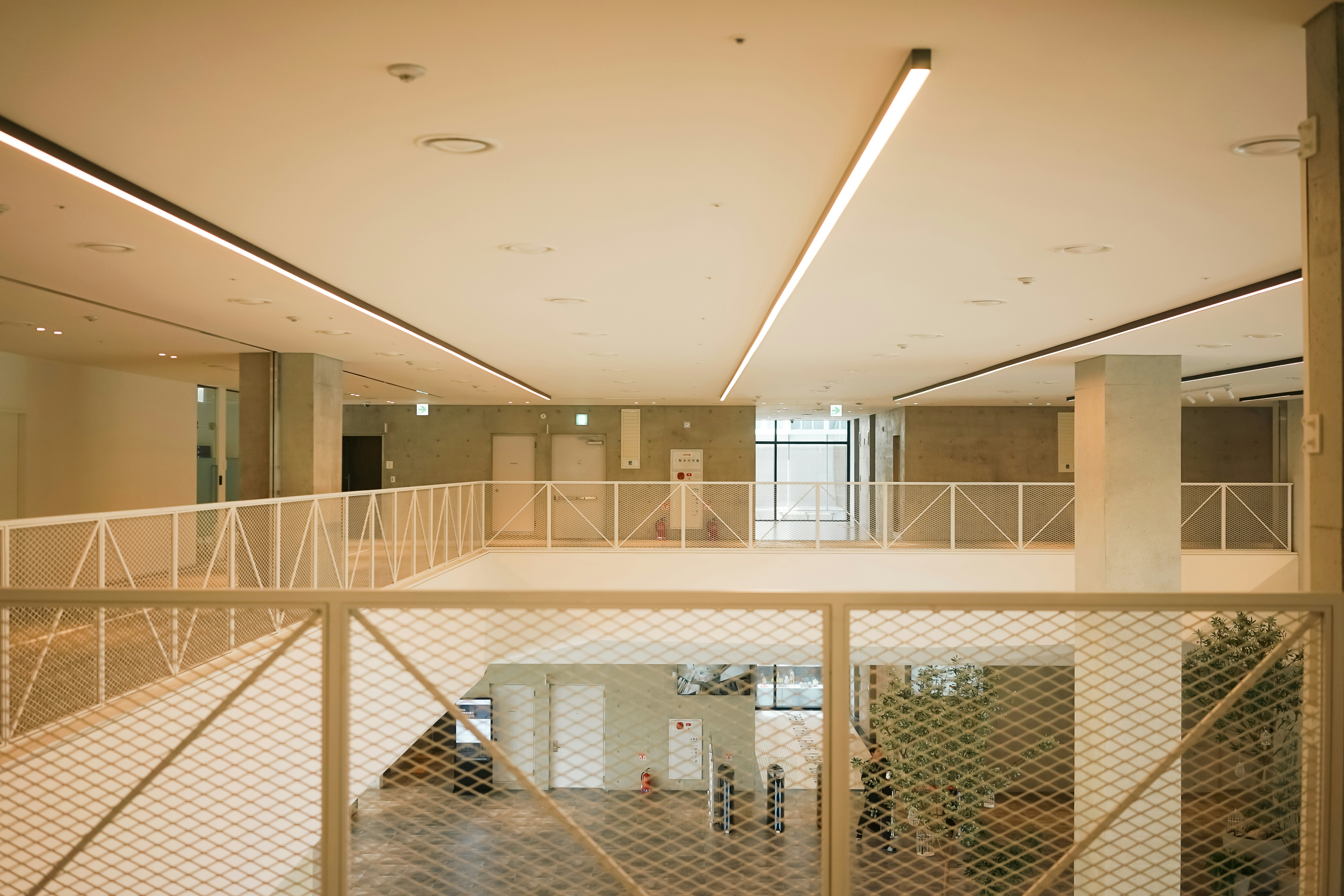 Photo by jiranfamily