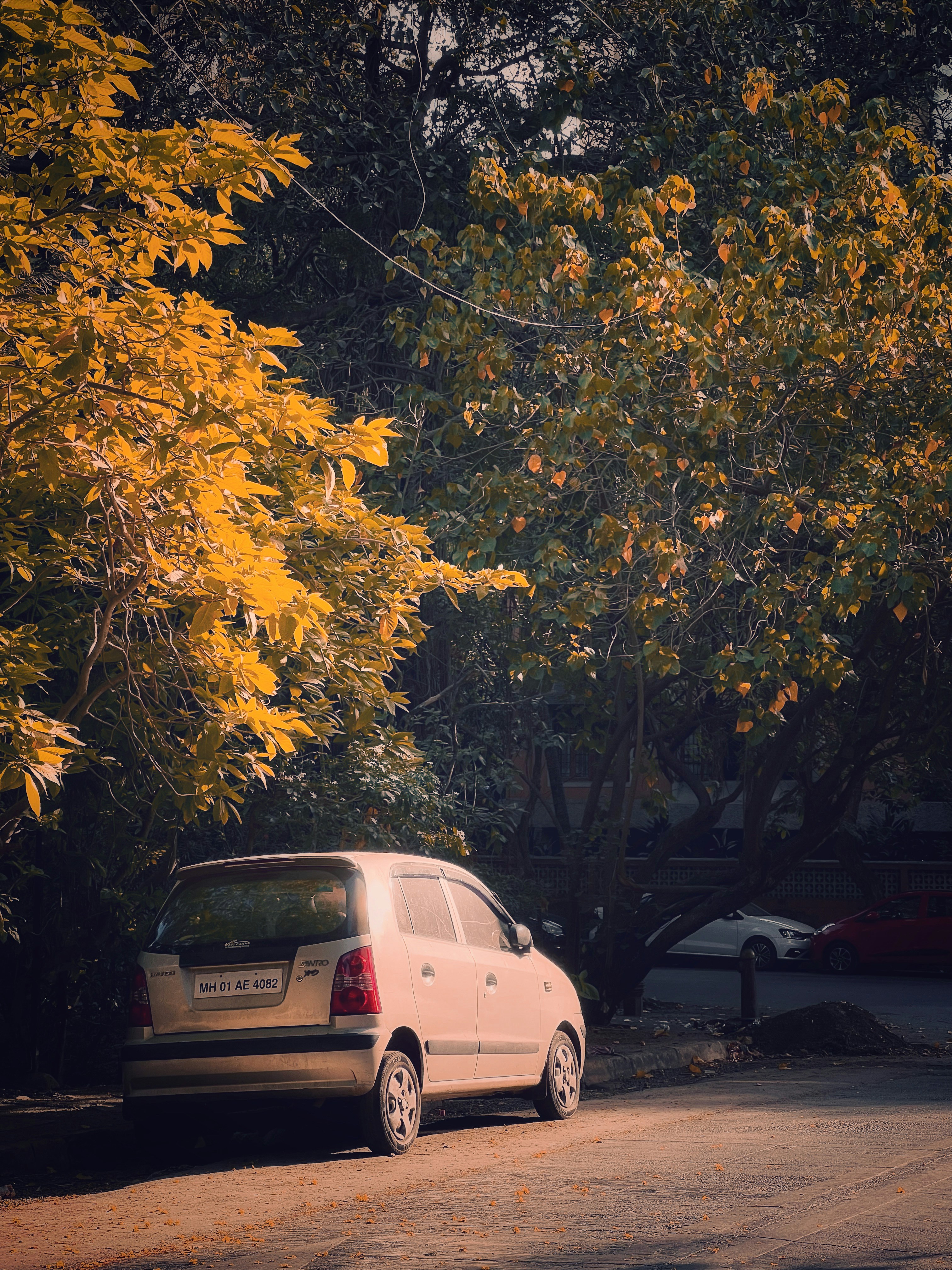 A white car parked on the side of a road photo – Free Iphone Image on ...