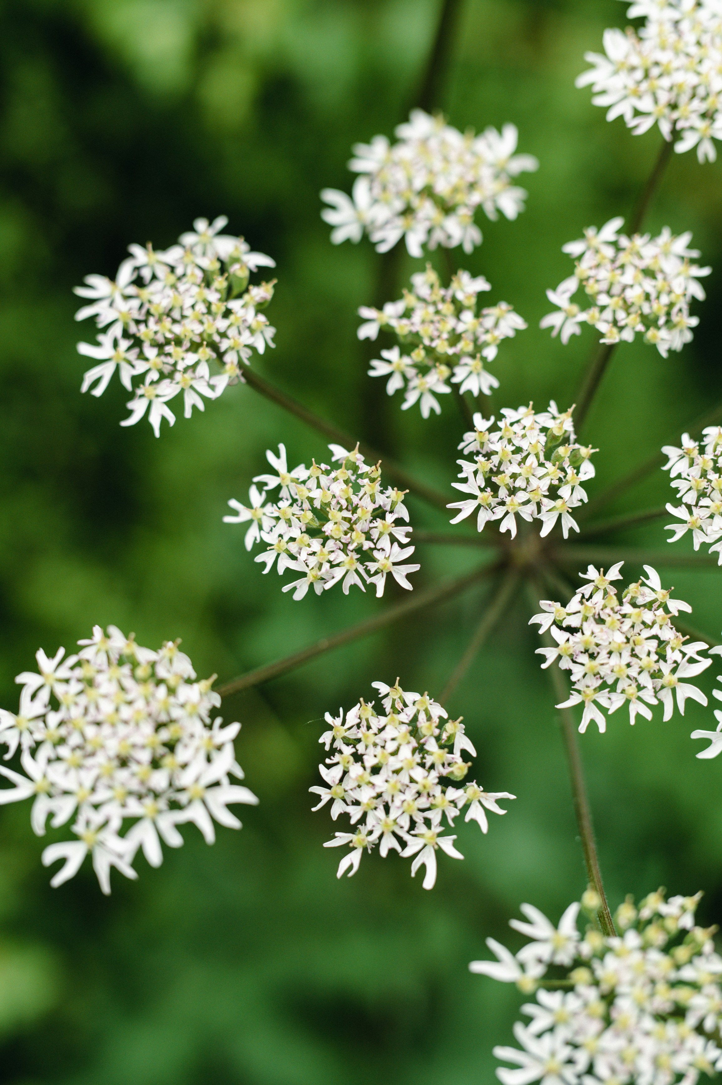 Photo by hollyboothstudio