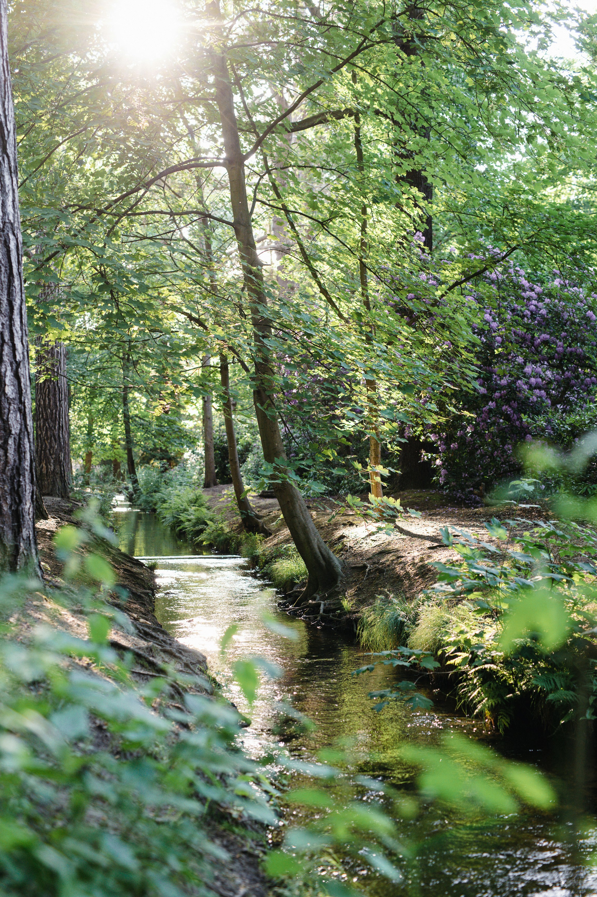 Photo by hollyboothstudio