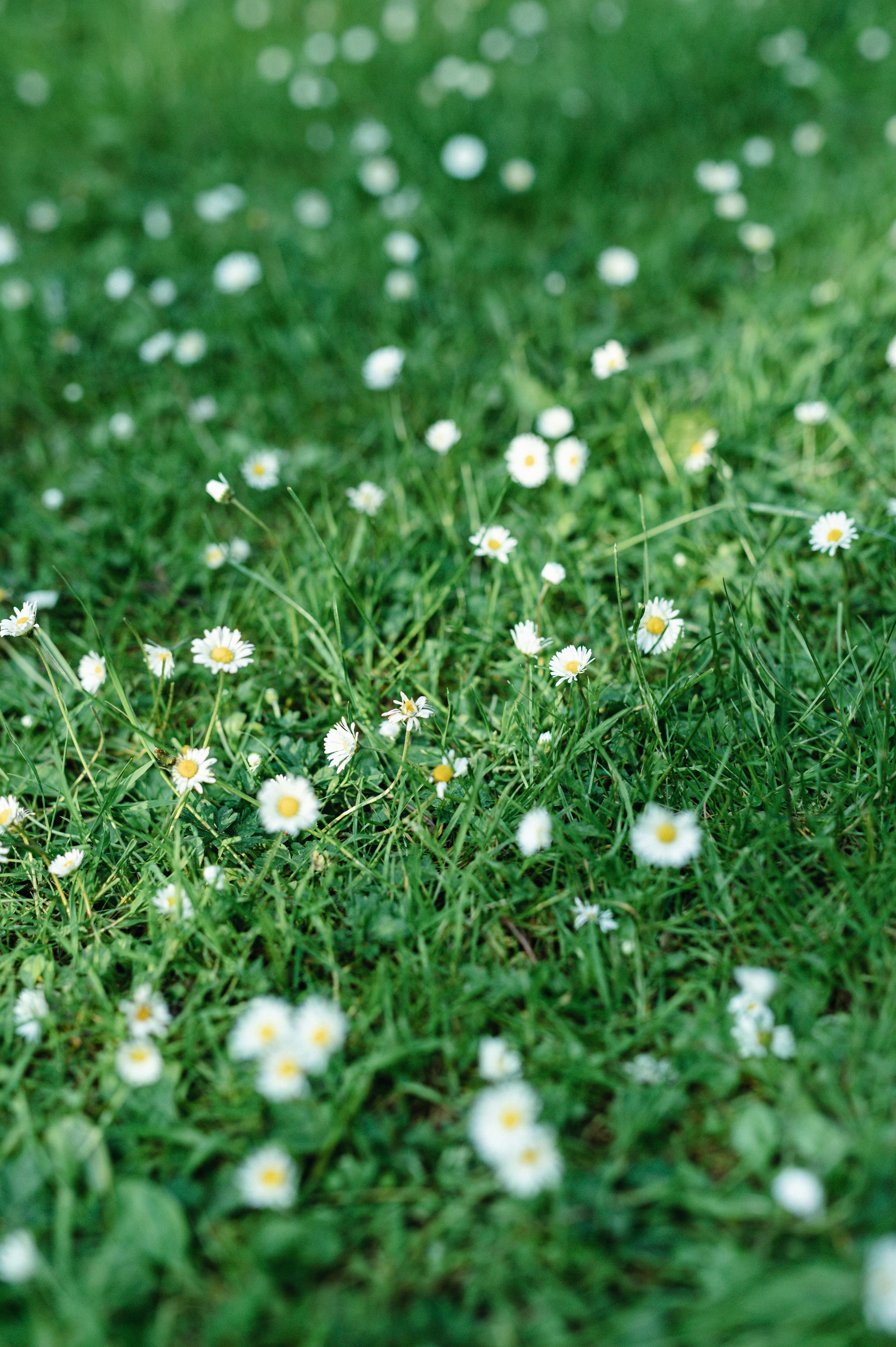 Photo by hollyboothstudio