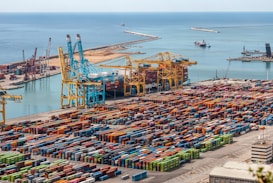 Numerous colorful shipping containers neatly arranged in a large port area near the ocean. Several large cranes are present, indicating an active shipping or logistics hub. The vast expanse of the sea in the background highlights the scale of the port.