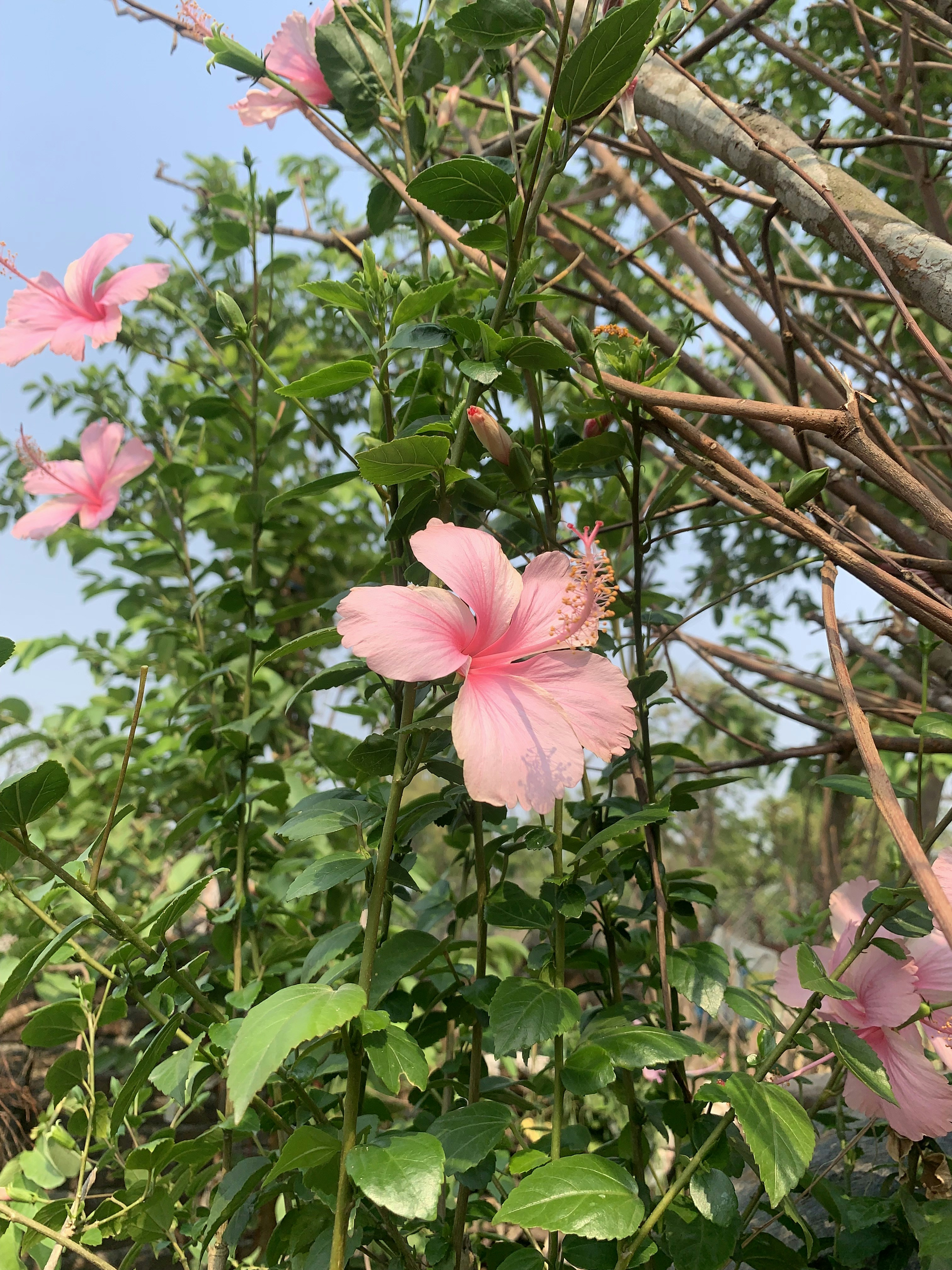 Photo by gaurav20707