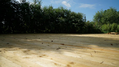 Spacious wooden deck overlooking a lush backyard under clear blue sky.