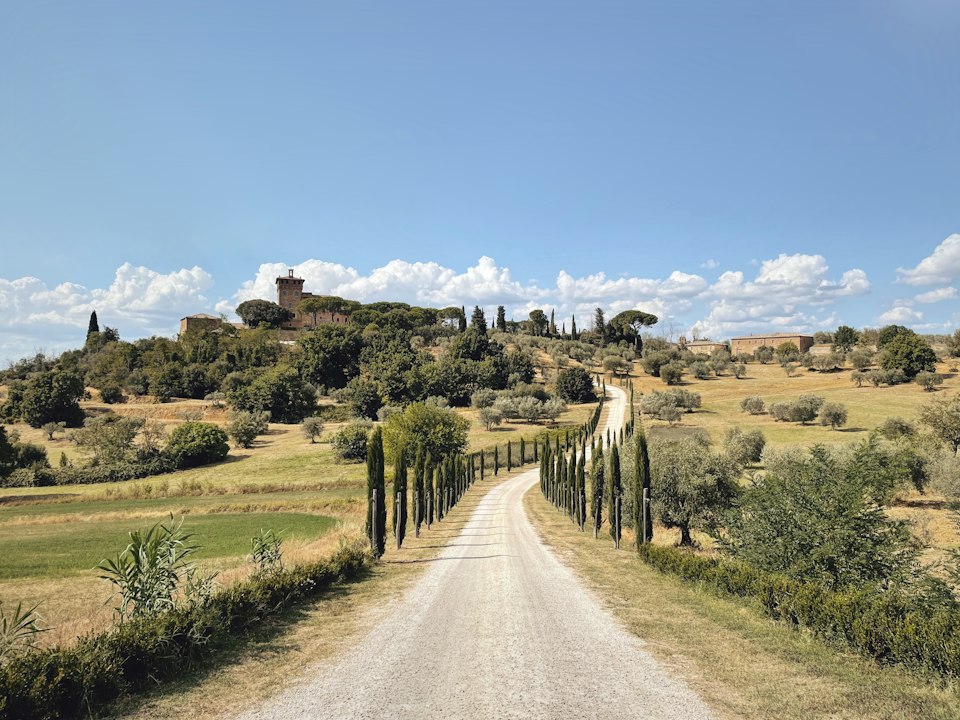 Cypress-lined country road through the Tuscan countryside