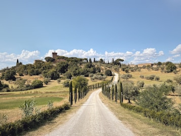 A winding dirt road lined with cypress trees leads through a scenic countryside landscape towards a hilltop village with stone buildings. The area is dotted with trees and open fields under a clear blue sky with scattered clouds.