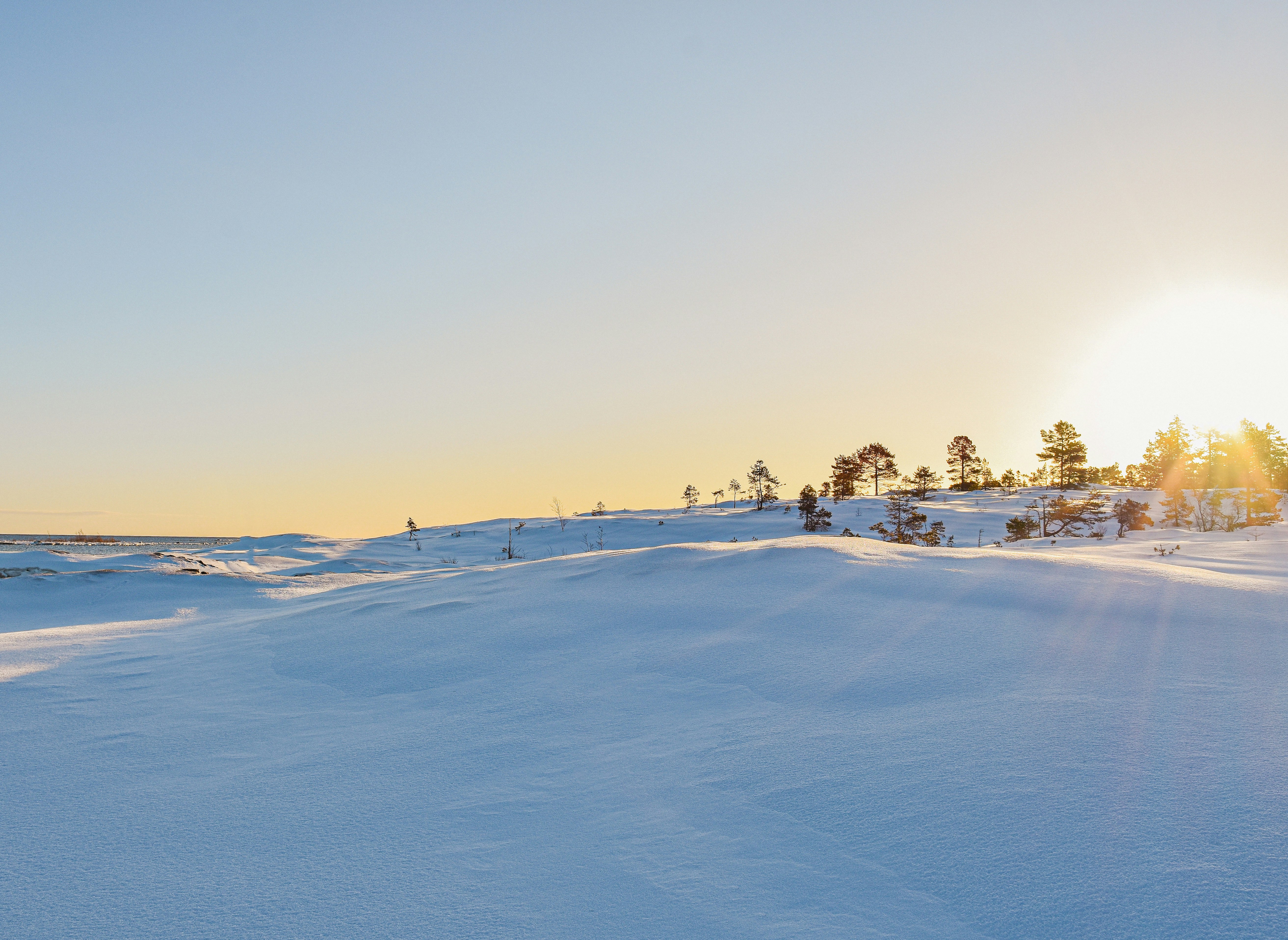 Photo by niklasjonasson